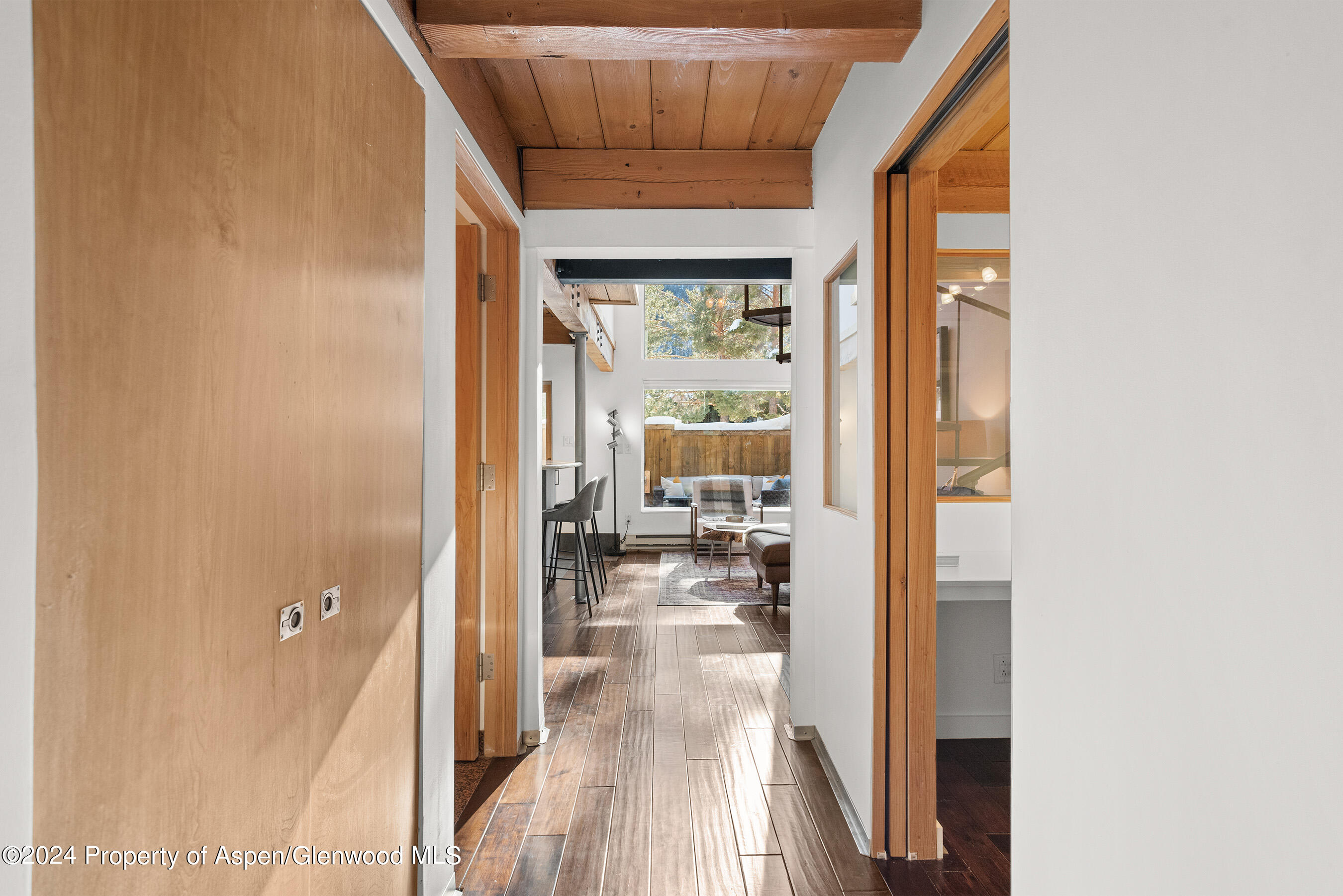 1024 E Cooper Avenue Aspen CO 81611