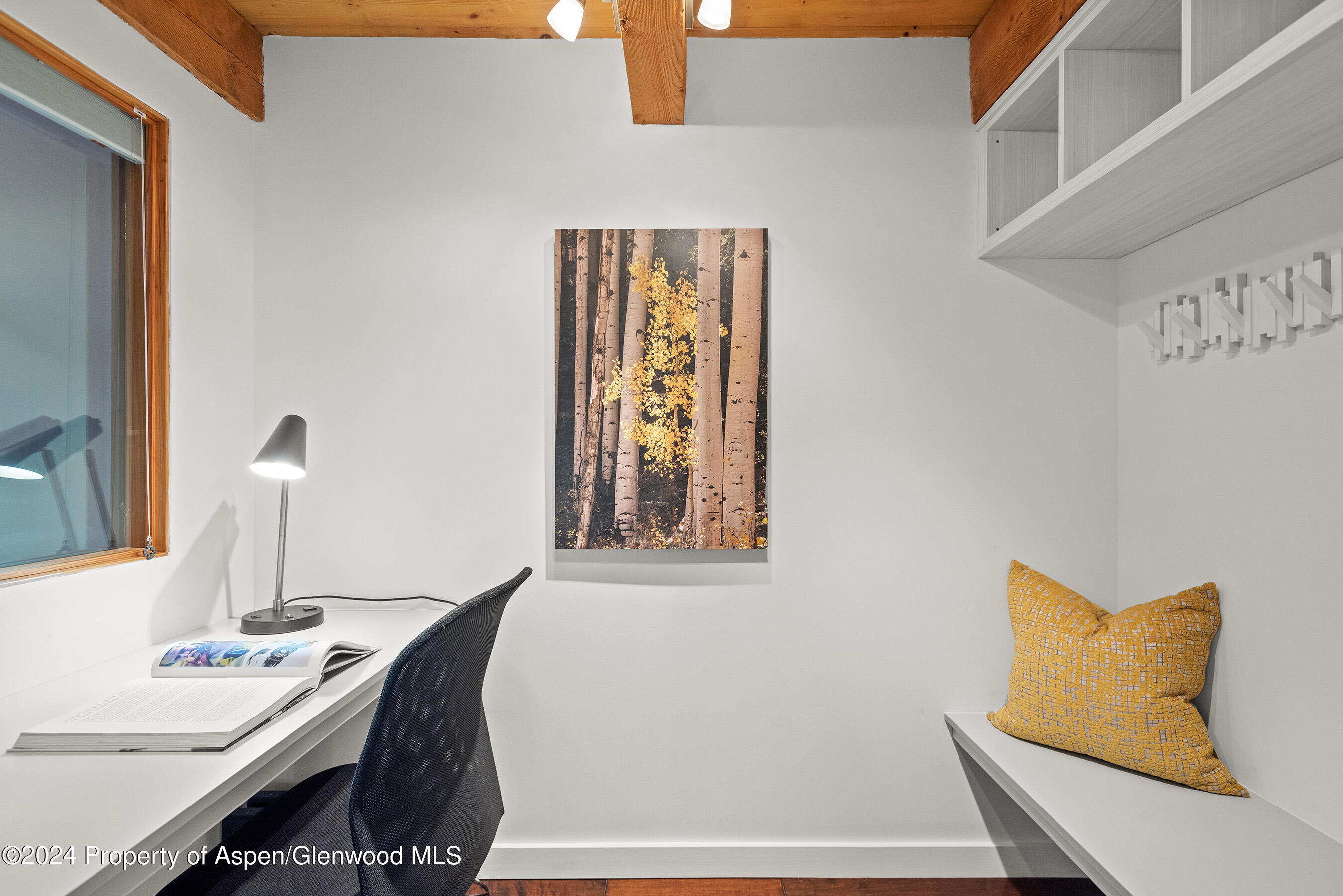 1024 E Cooper Avenue Aspen CO 81611