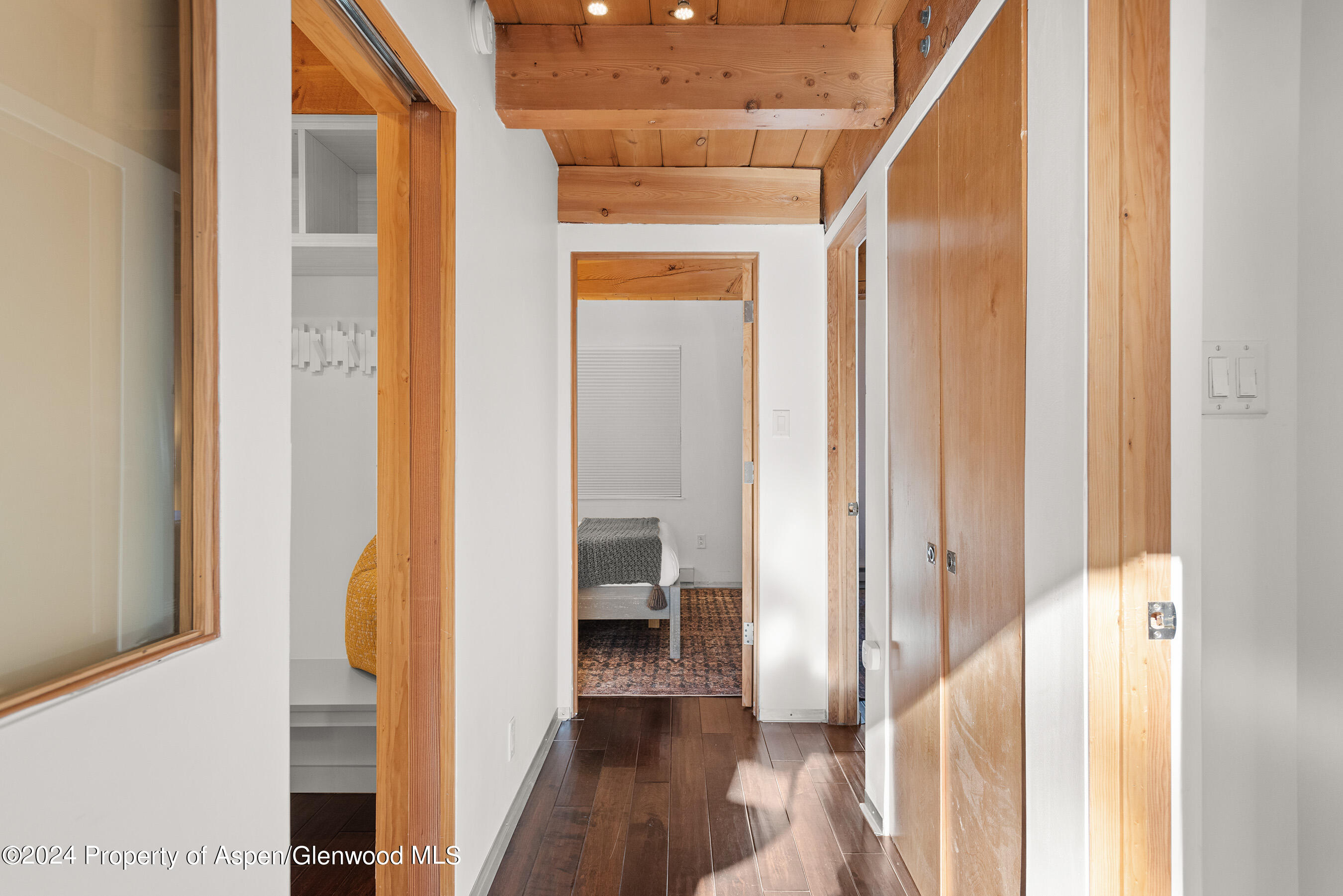 1024 E Cooper Avenue Aspen CO 81611