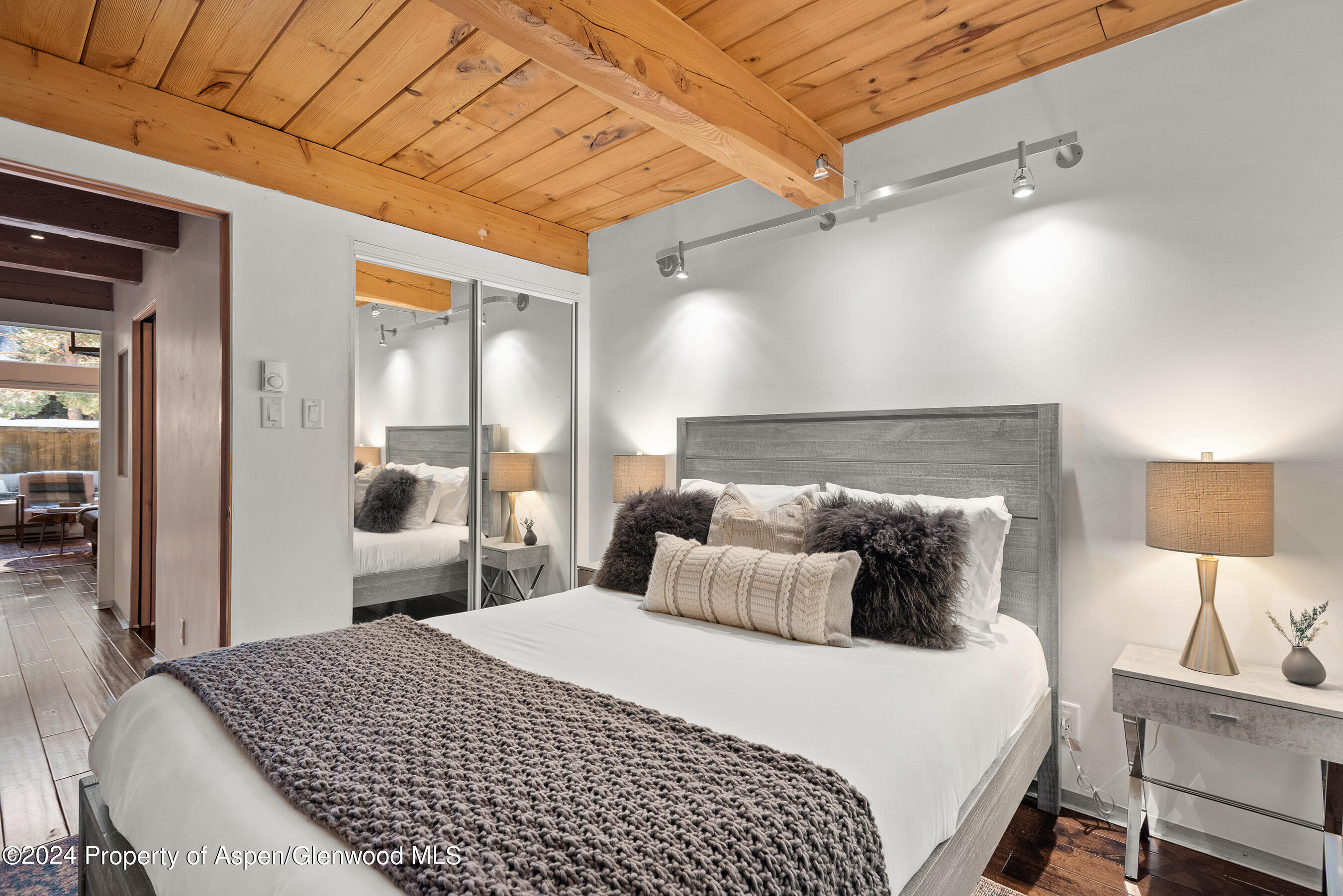 1024 E Cooper Avenue Aspen CO 81611