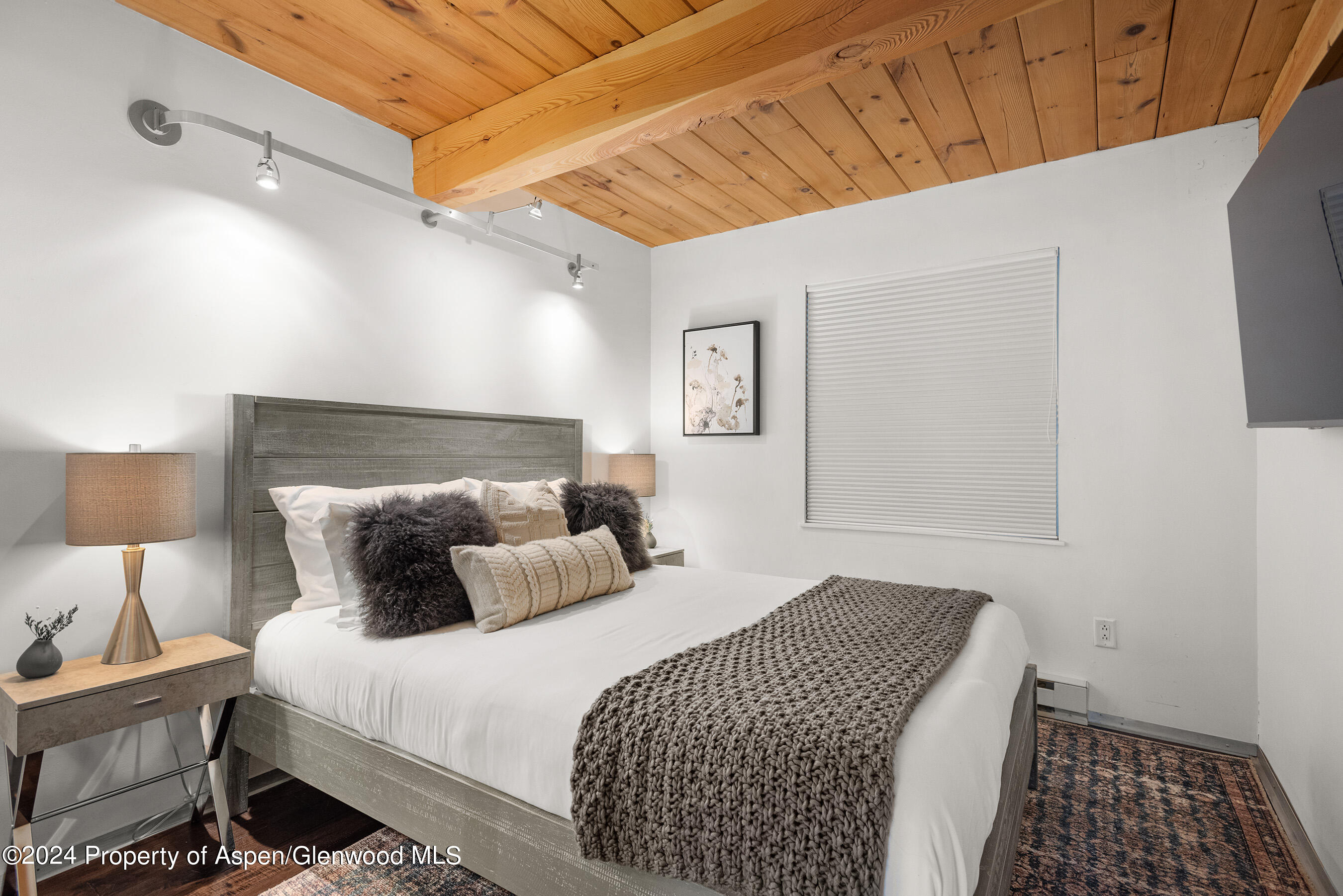 1024 E Cooper Avenue Aspen CO 81611