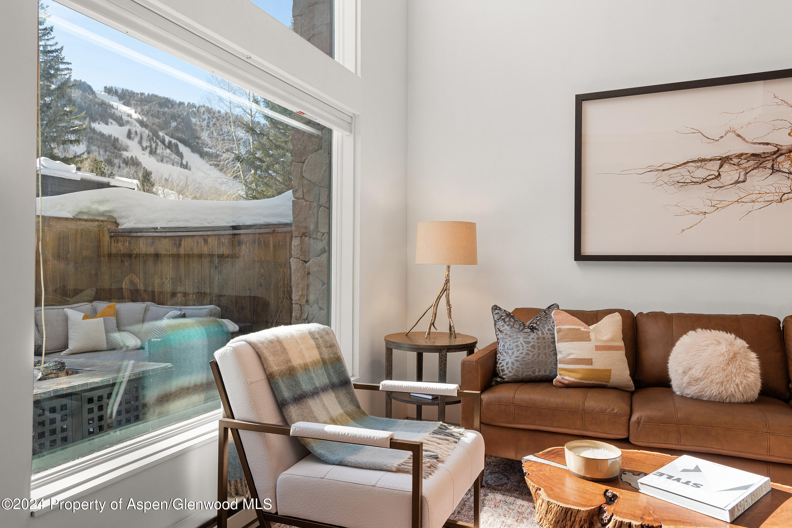 1024 E Cooper Avenue Aspen CO 81611