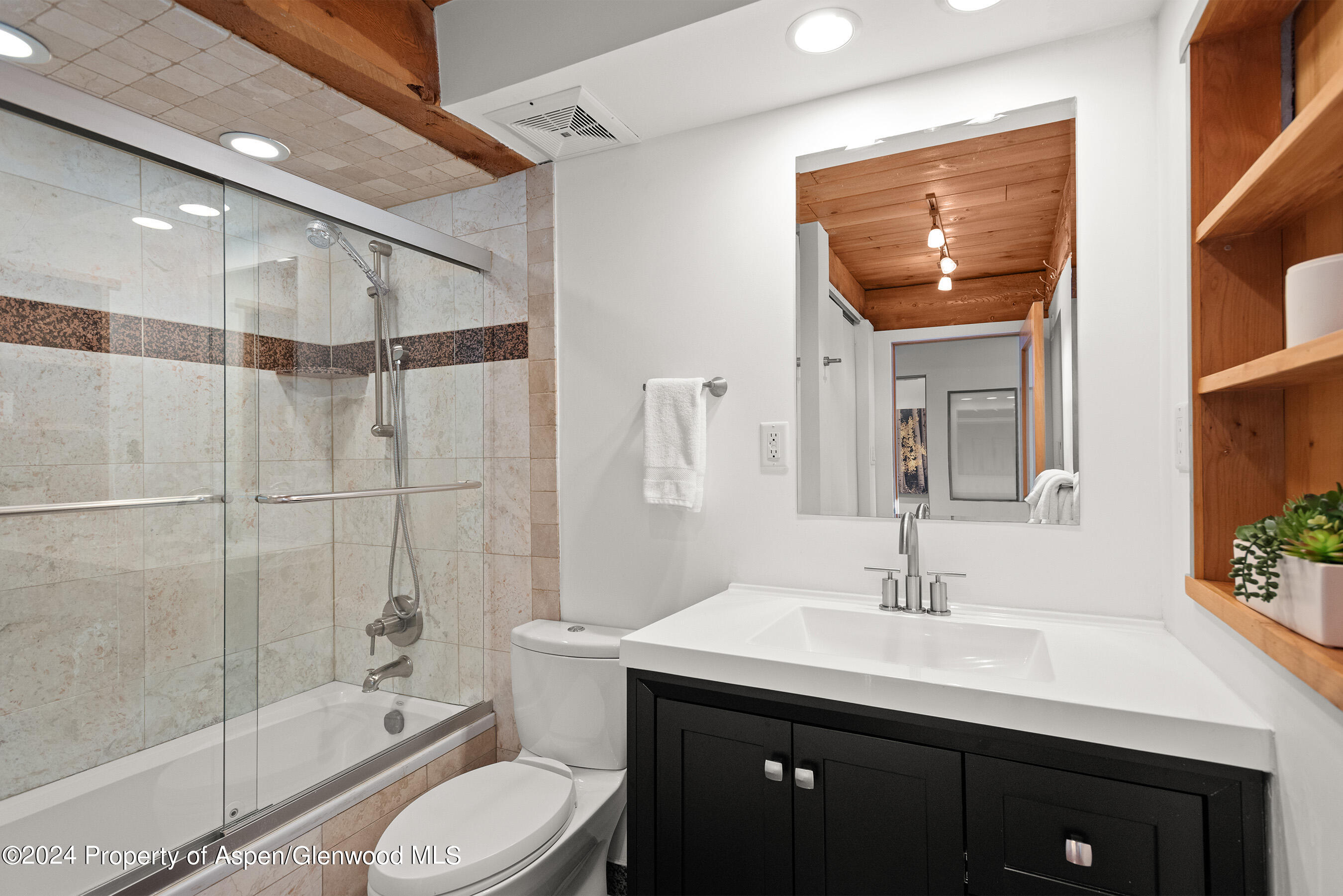 1024 E Cooper Avenue Aspen CO 81611