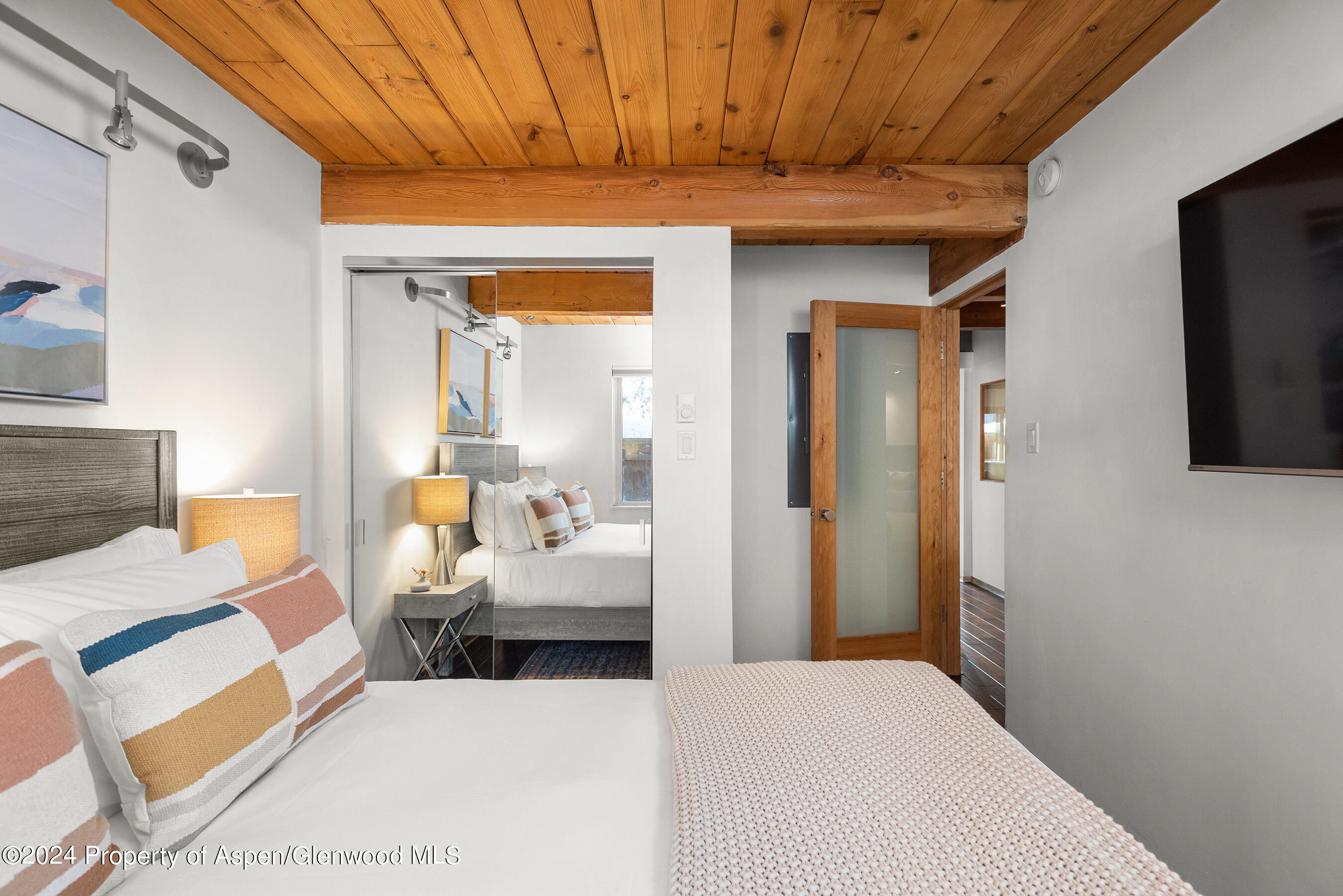 1024 E Cooper Avenue Aspen CO 81611