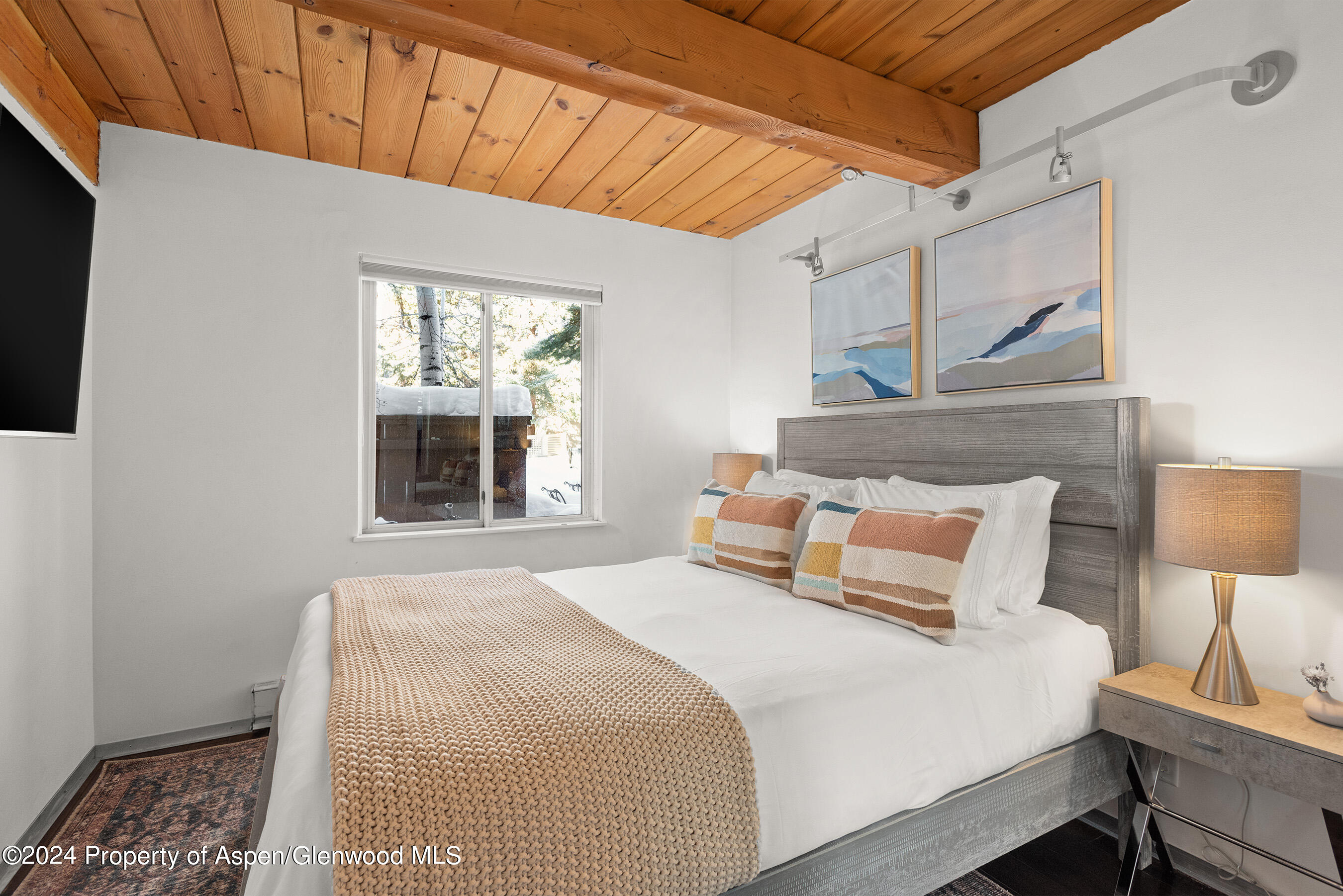 1024 E Cooper Avenue Aspen CO 81611