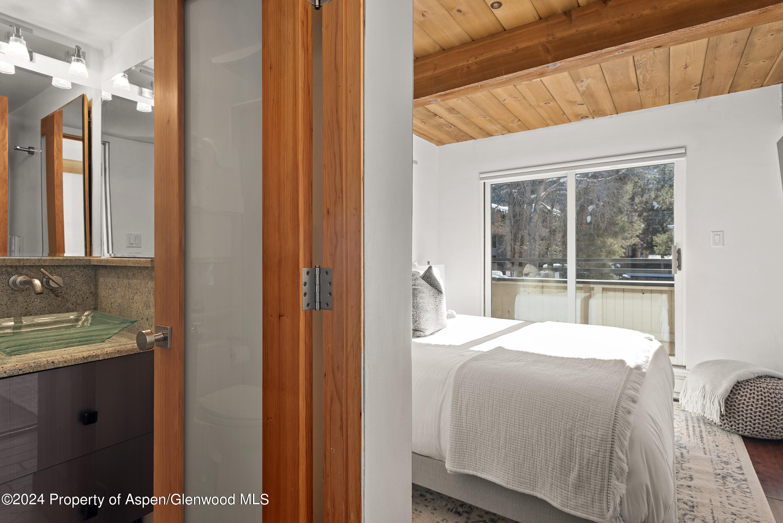 1024 E Cooper Avenue Aspen CO 81611