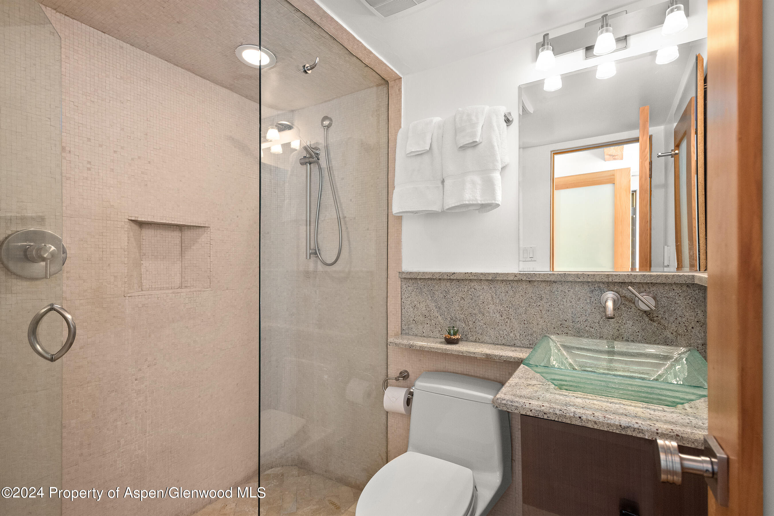 1024 E Cooper Avenue Aspen CO 81611