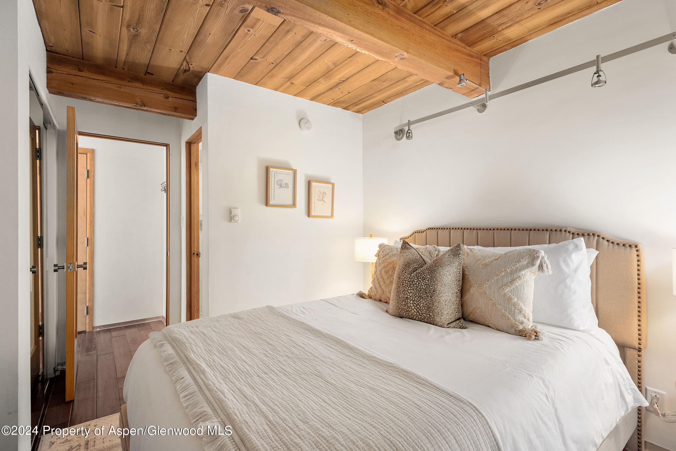 1024 E Cooper Avenue Aspen CO 81611