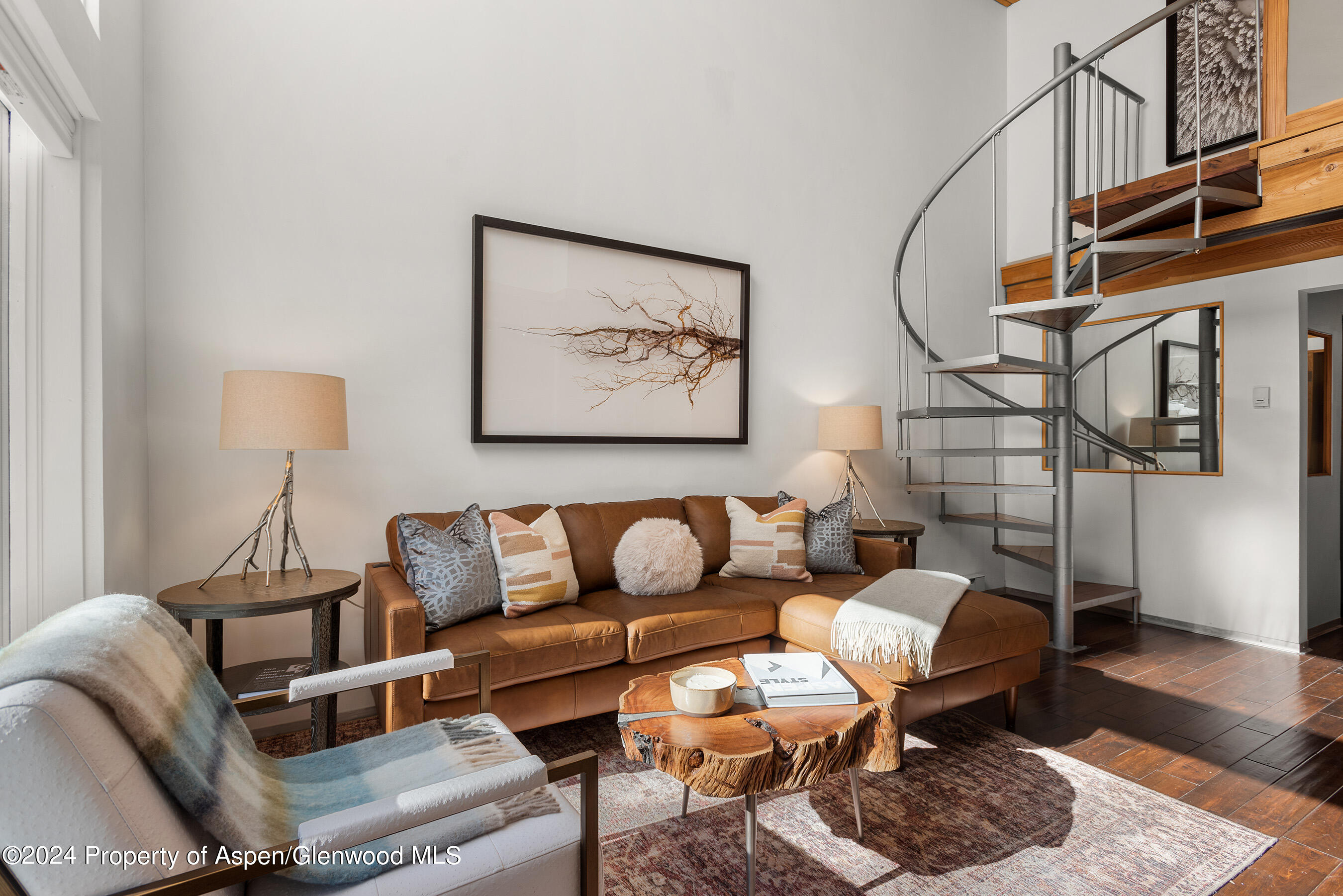 1024 E Cooper Avenue Aspen CO 81611