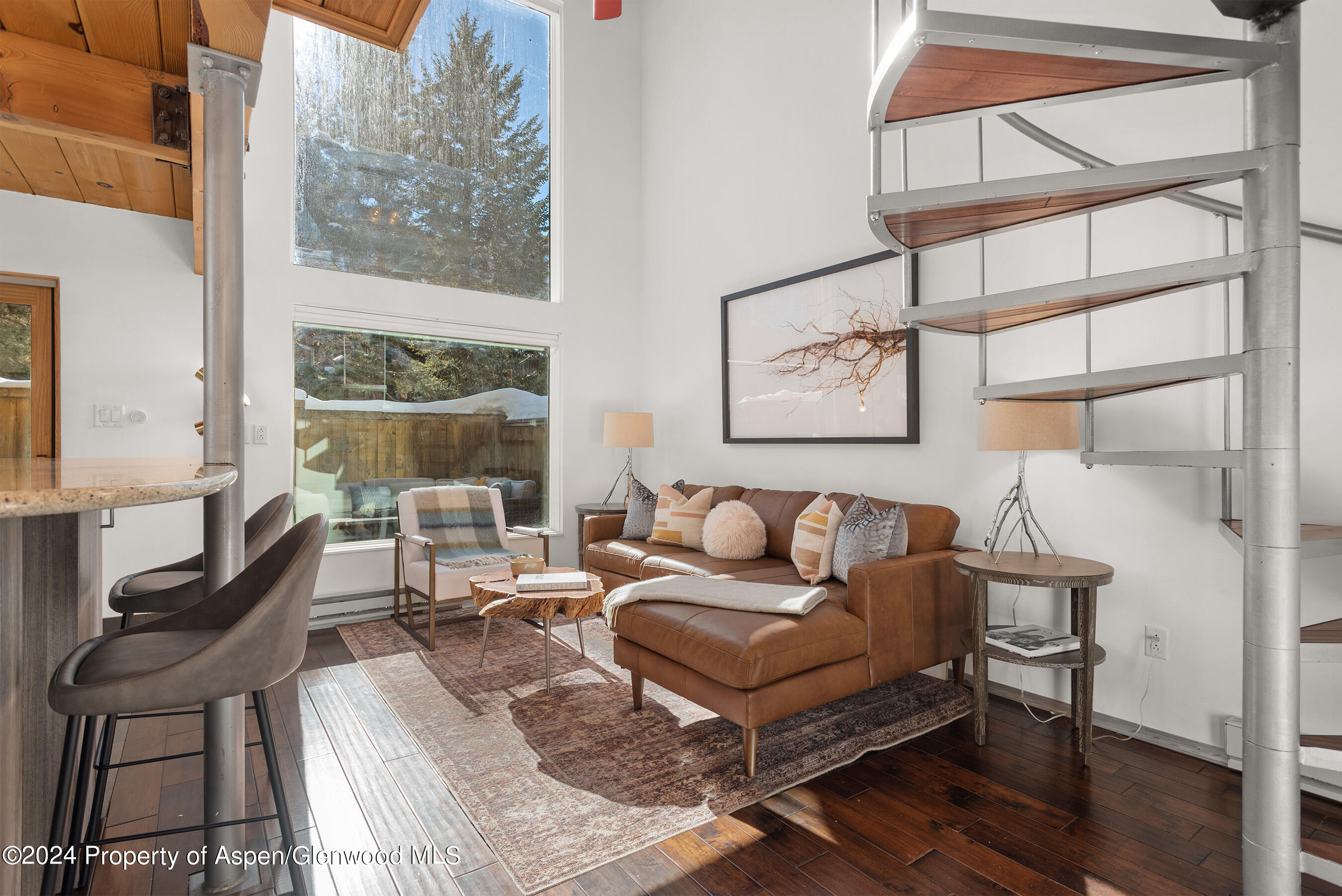 1024 E Cooper Avenue Aspen CO 81611