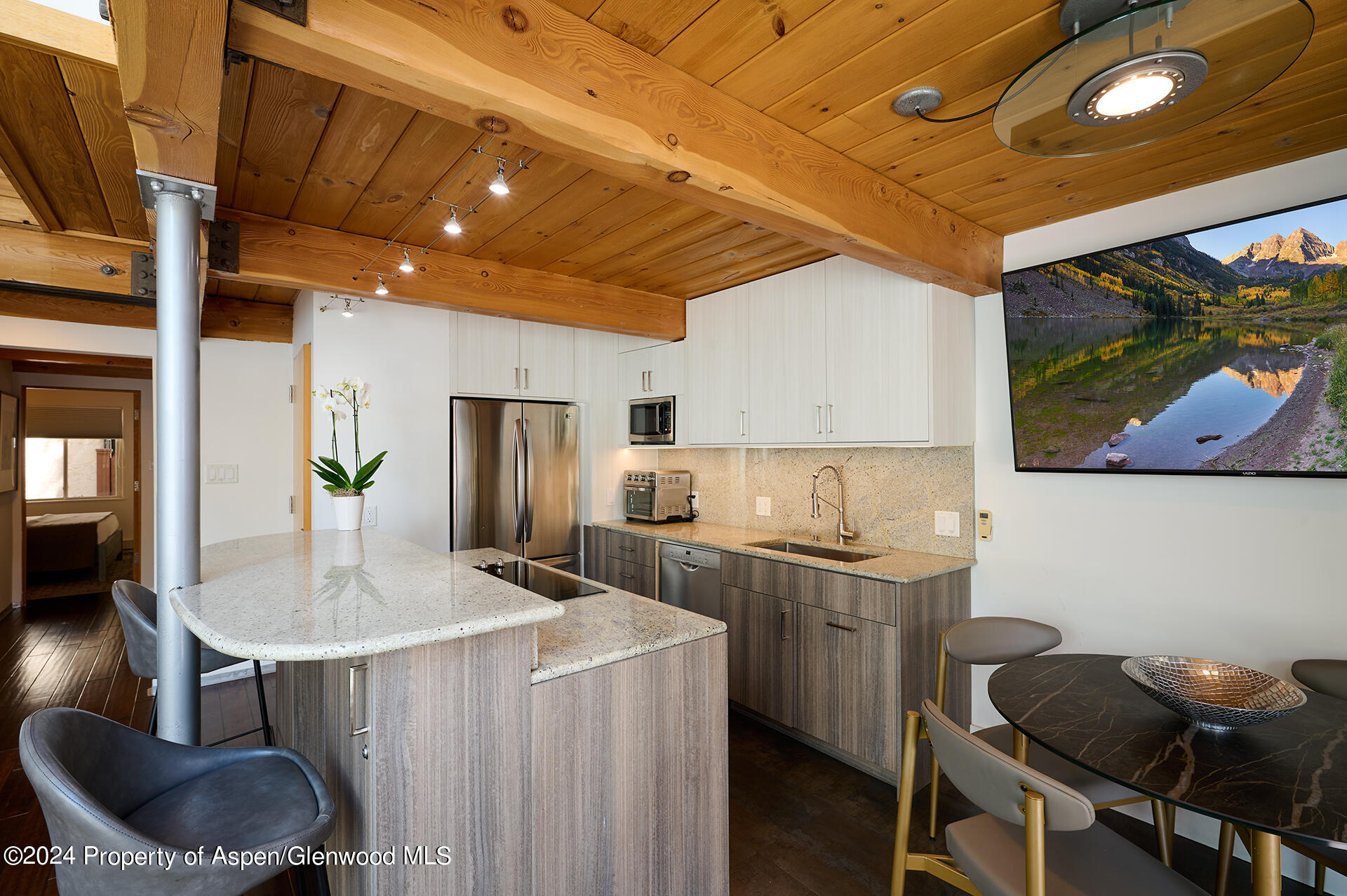 1024 E Cooper Avenue Aspen CO 81611