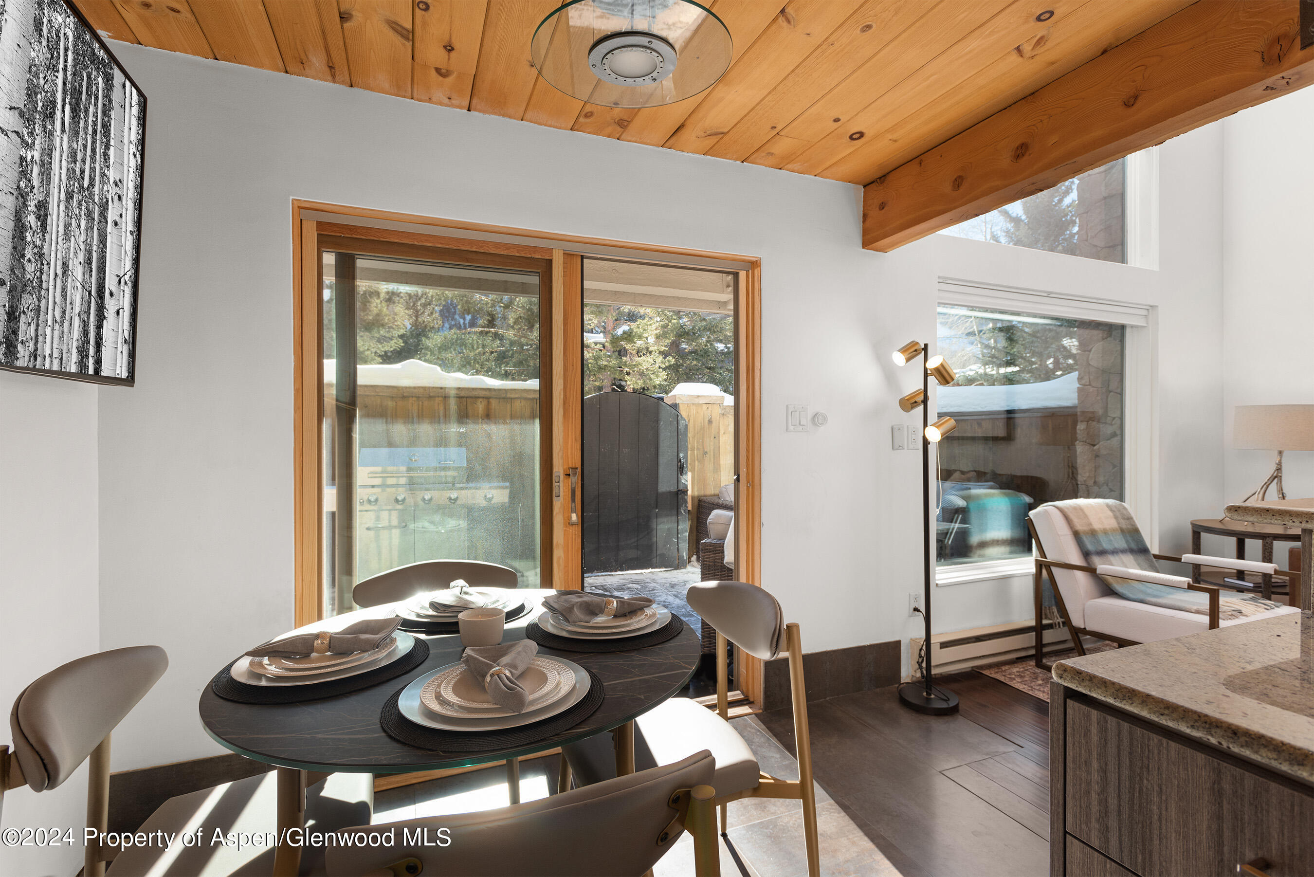 1024 E Cooper Avenue Aspen CO 81611