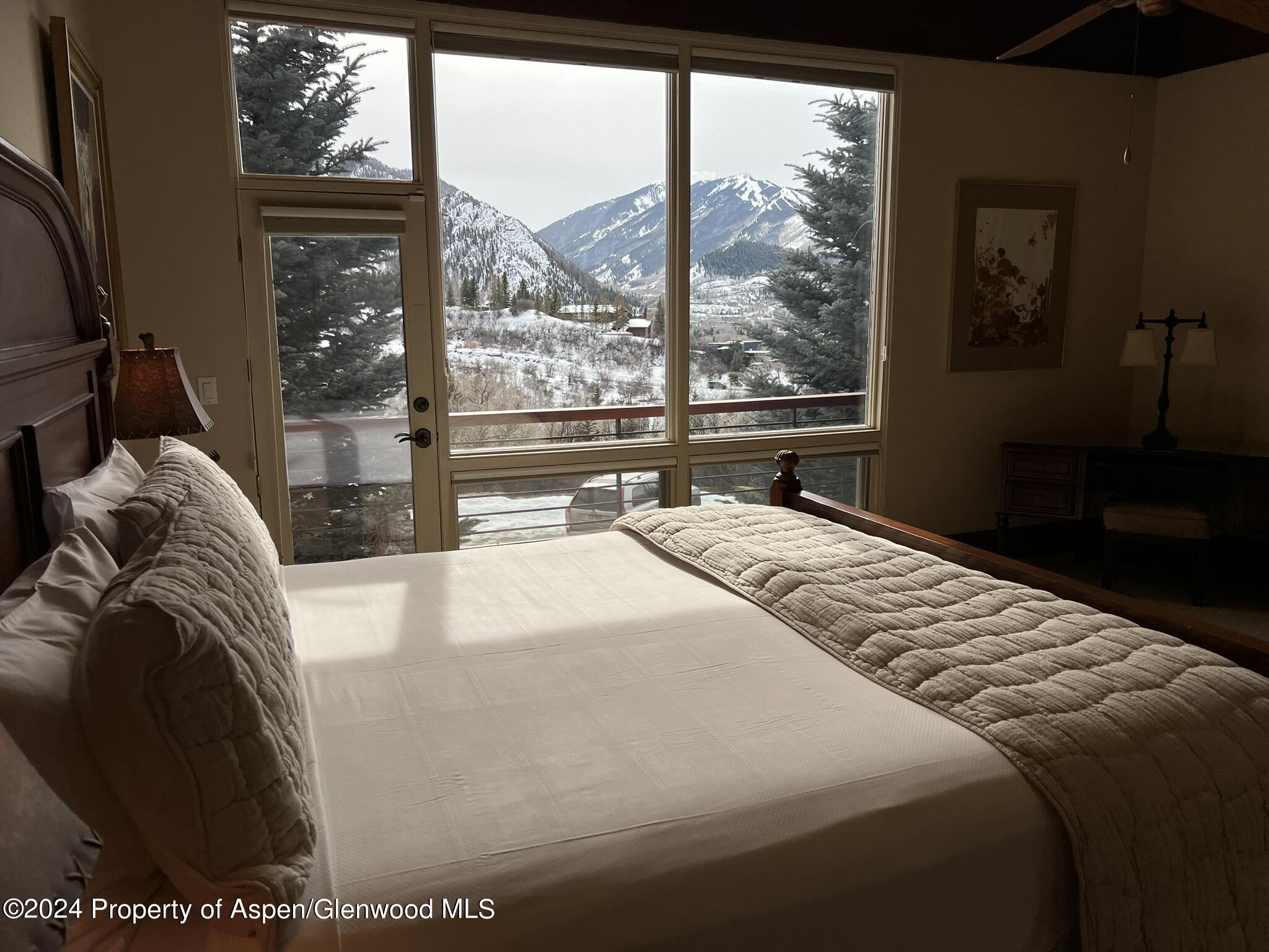 185 Nighthawk Drive Aspen CO 81611