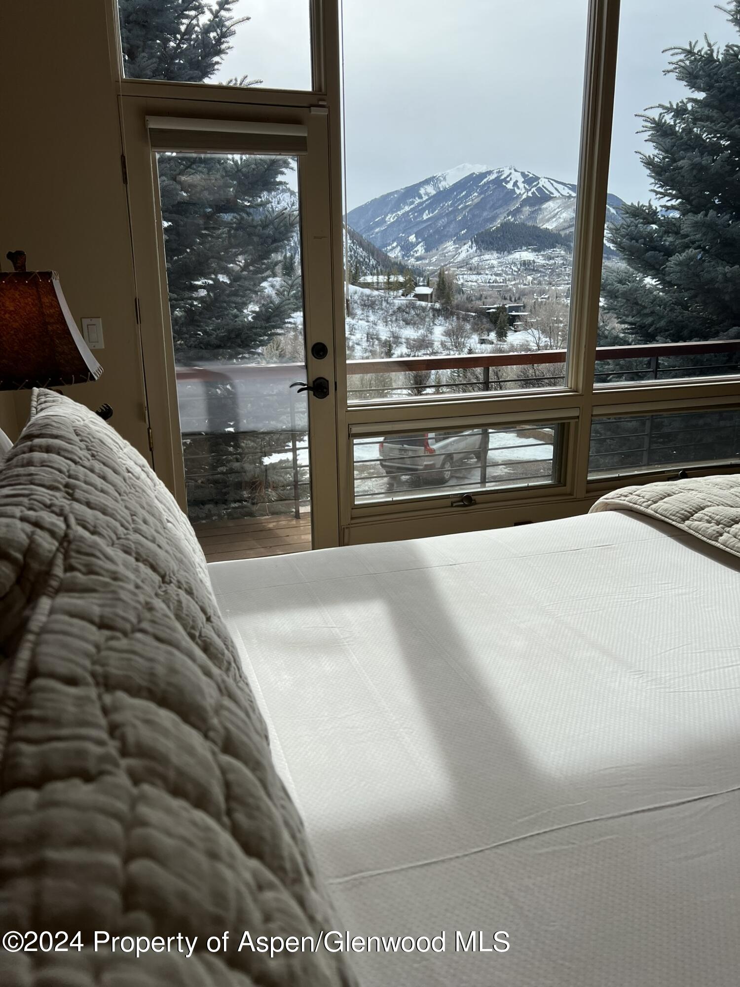 185 Nighthawk Drive Aspen CO 81611