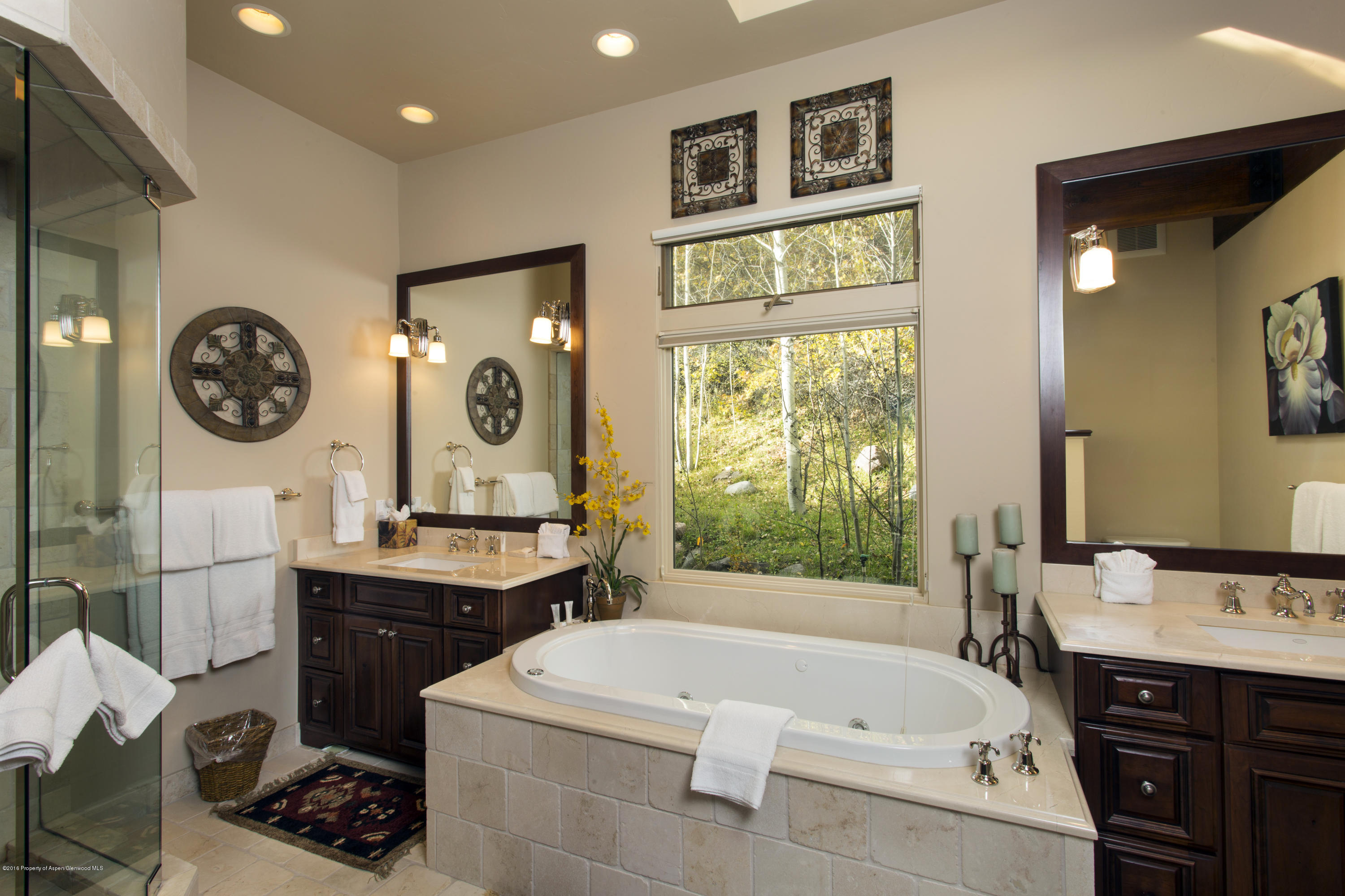 185 Nighthawk Drive Aspen CO 81611