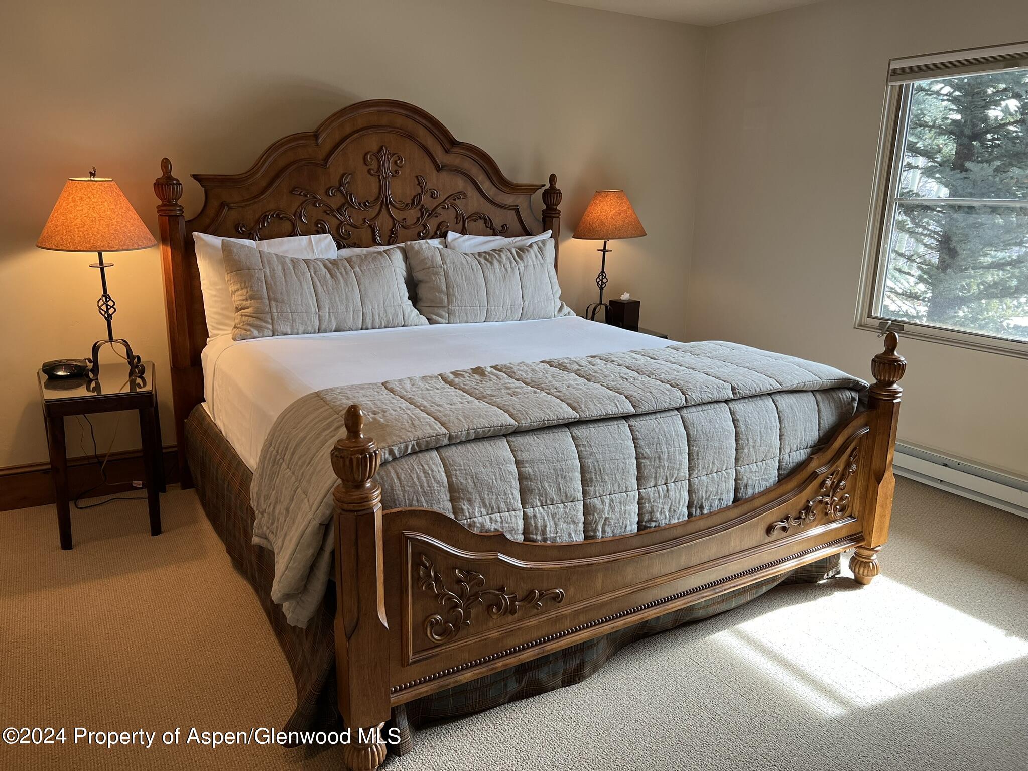 185 Nighthawk Drive Aspen CO 81611