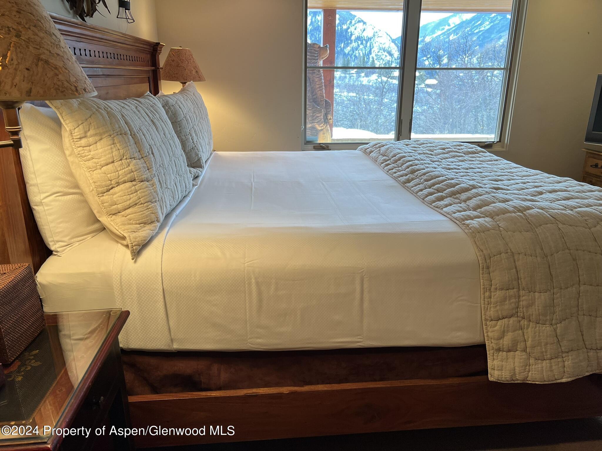 185 Nighthawk Drive Aspen CO 81611