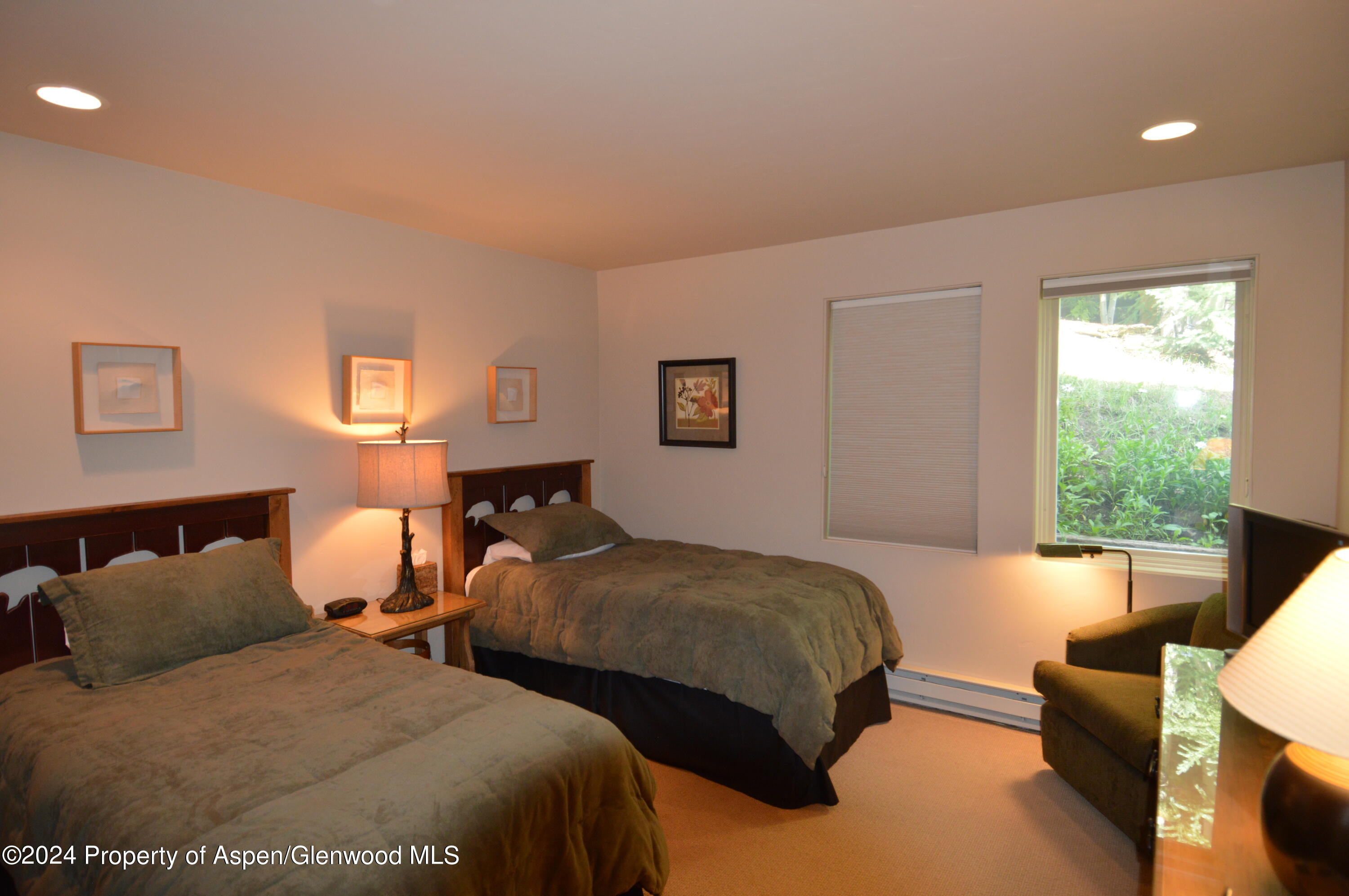 185 Nighthawk Drive Aspen CO 81611