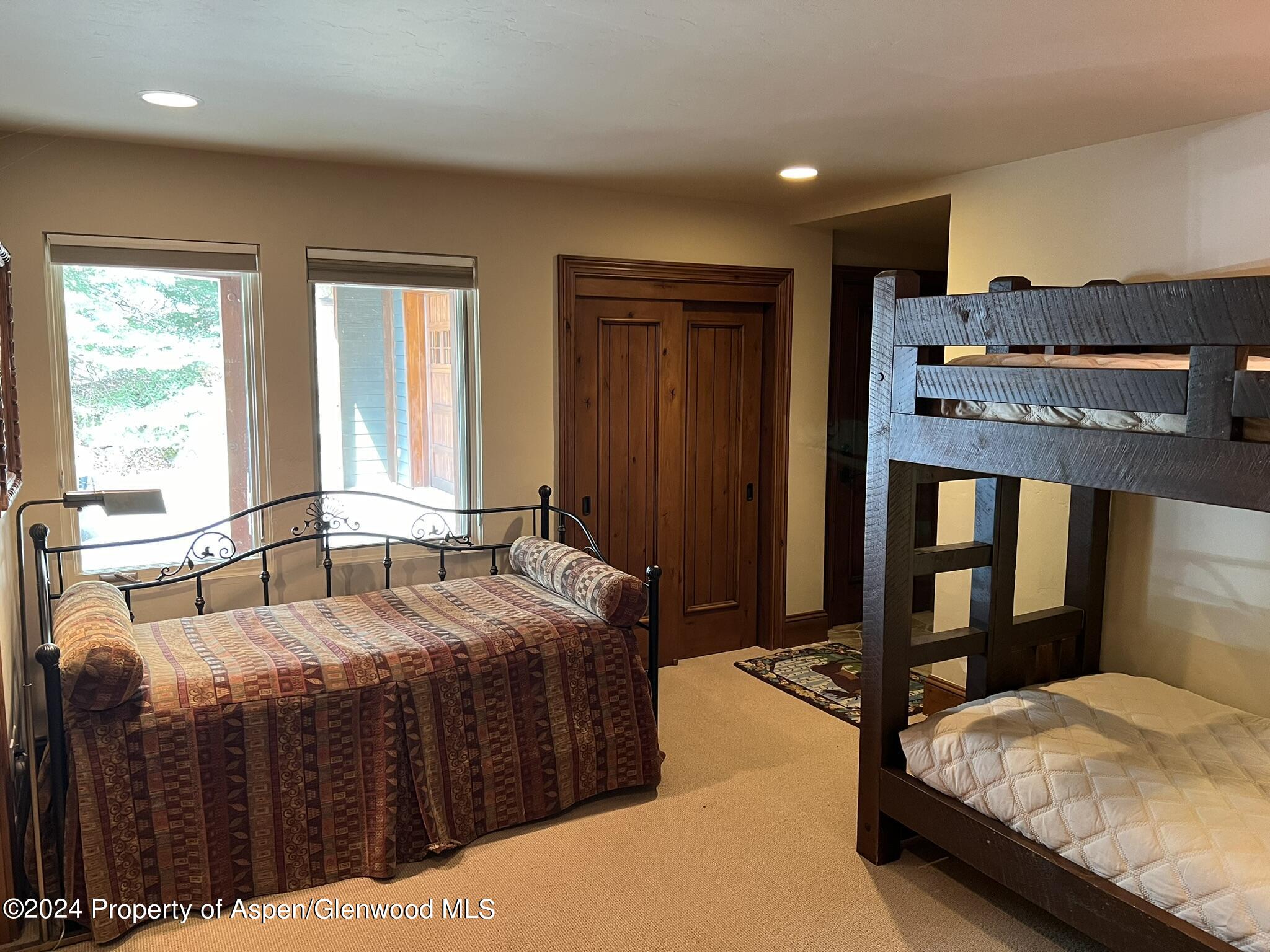 185 Nighthawk Drive Aspen CO 81611