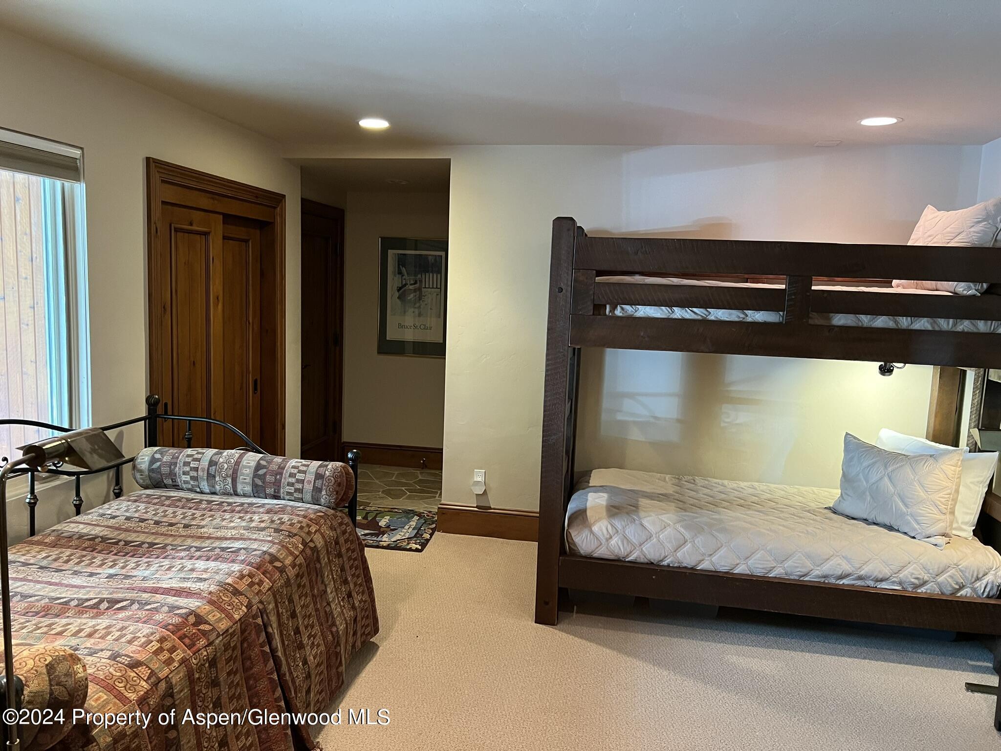 185 Nighthawk Drive Aspen CO 81611