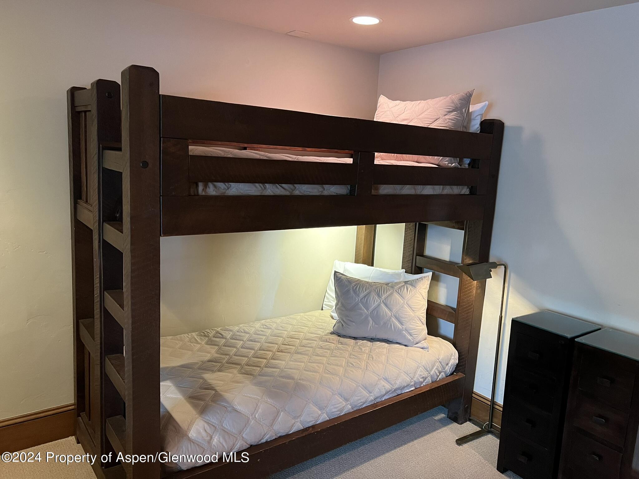 185 Nighthawk Drive Aspen CO 81611