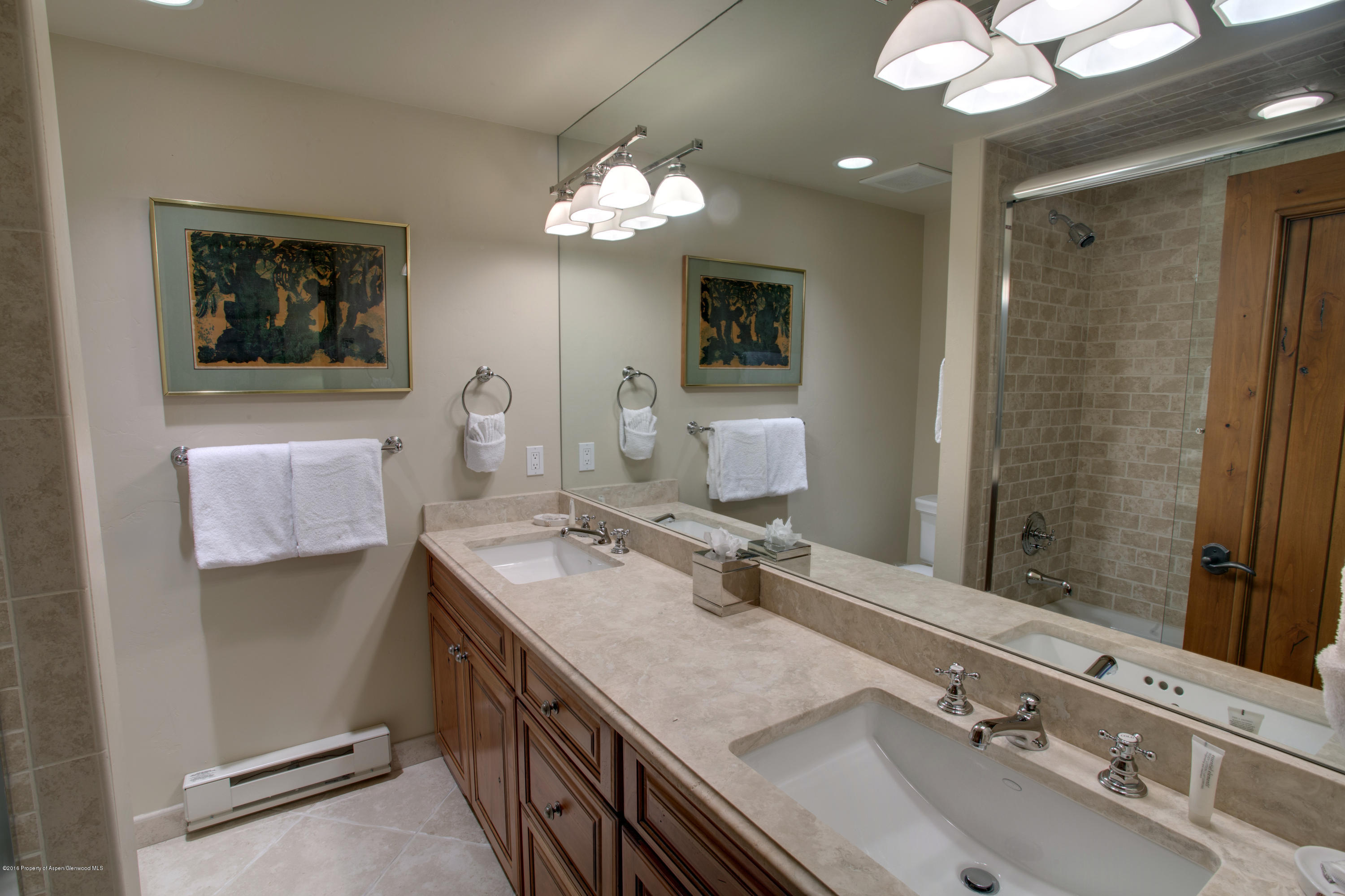 185 Nighthawk Drive Aspen CO 81611