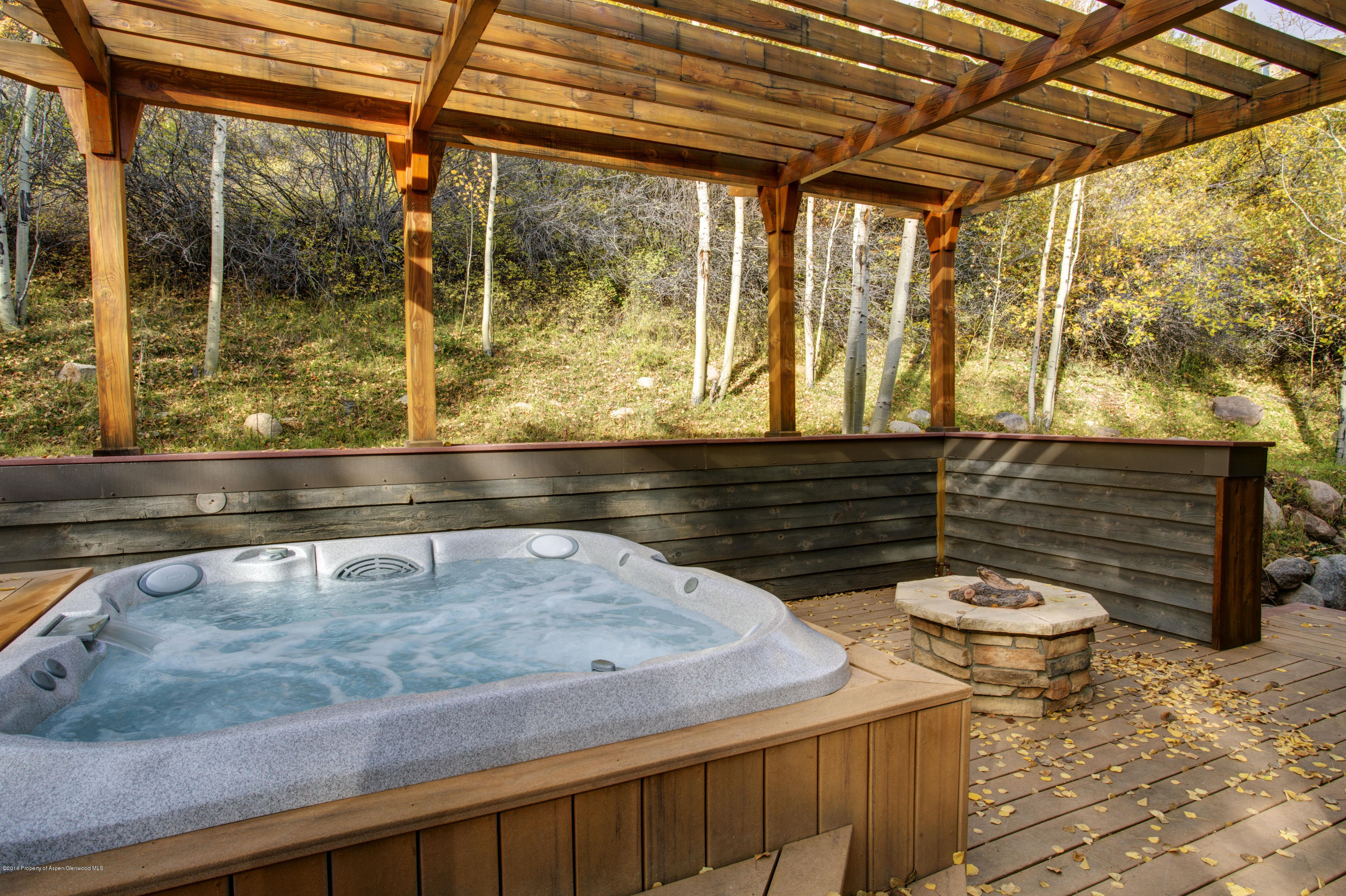 185 Nighthawk Drive Aspen CO 81611