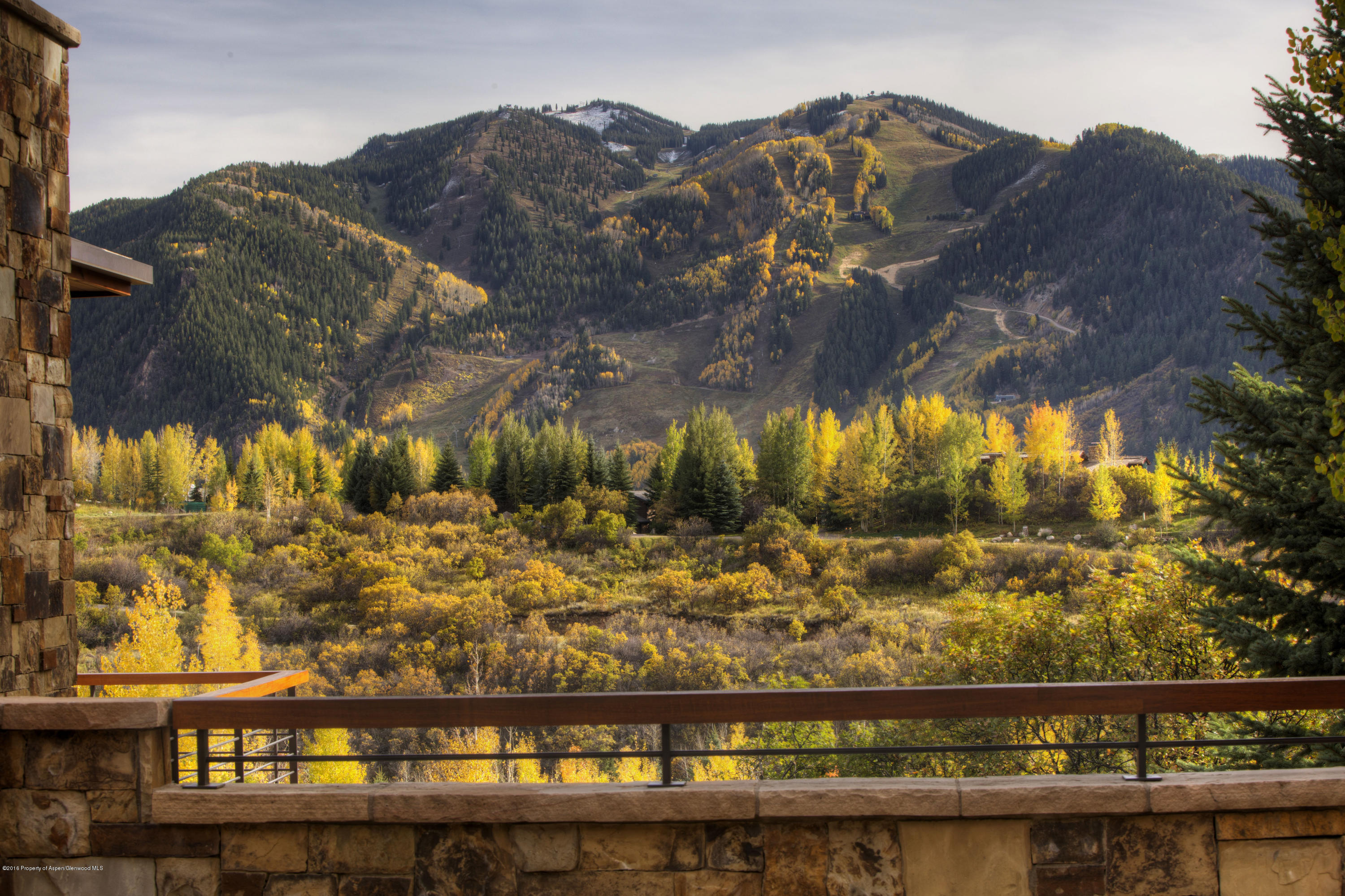 185 Nighthawk Drive Aspen CO 81611