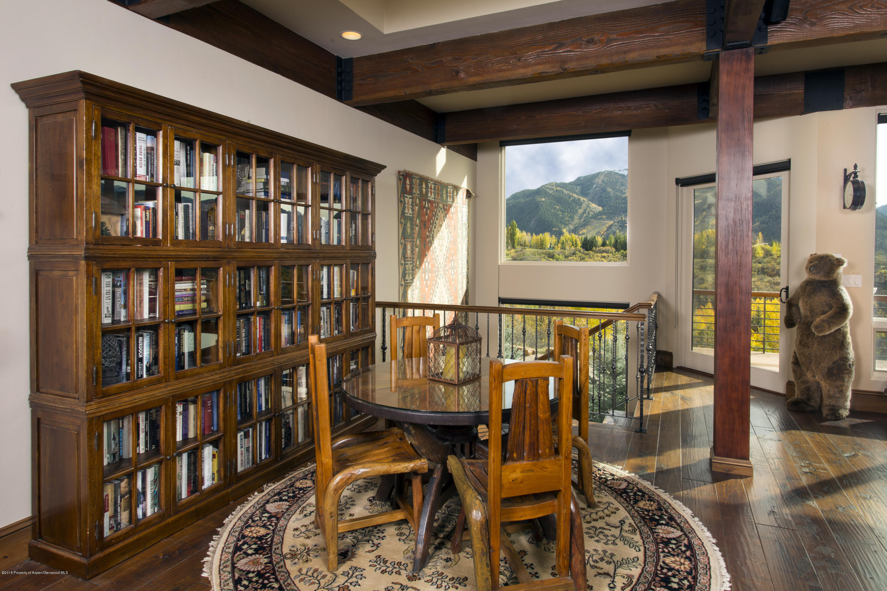 185 Nighthawk Drive Aspen CO 81611