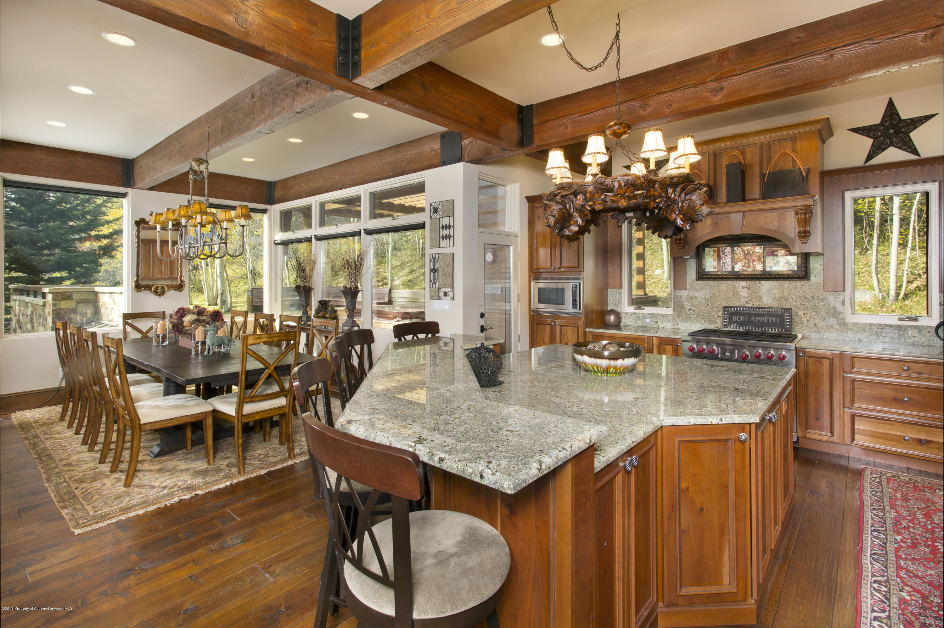 185 Nighthawk Drive Aspen CO 81611