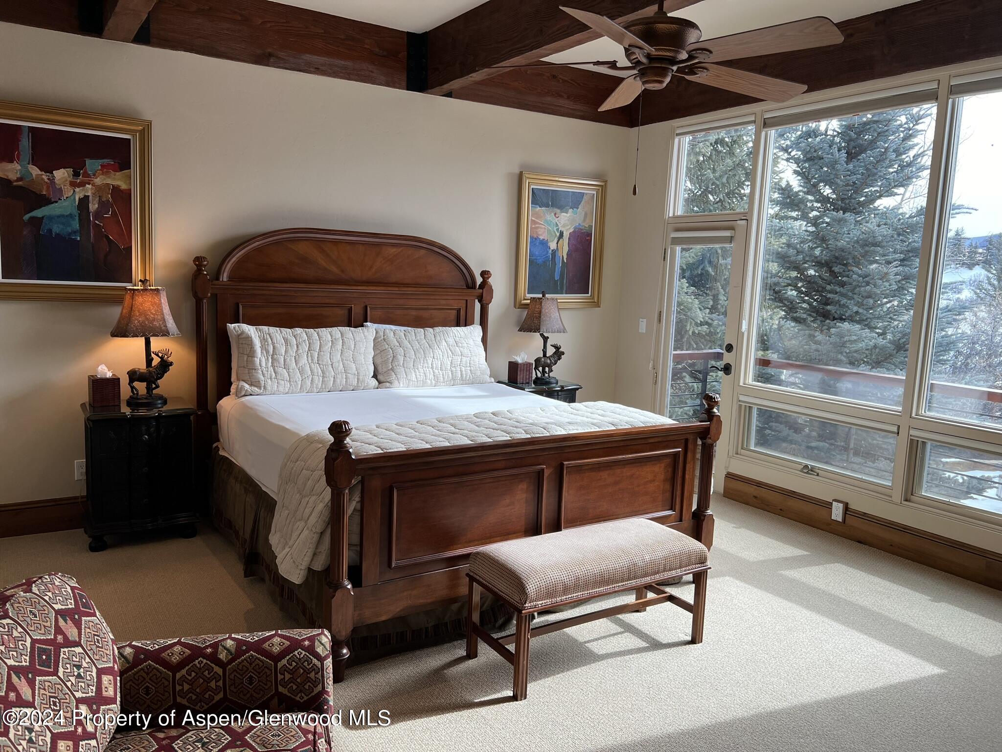 185 Nighthawk Drive Aspen CO 81611