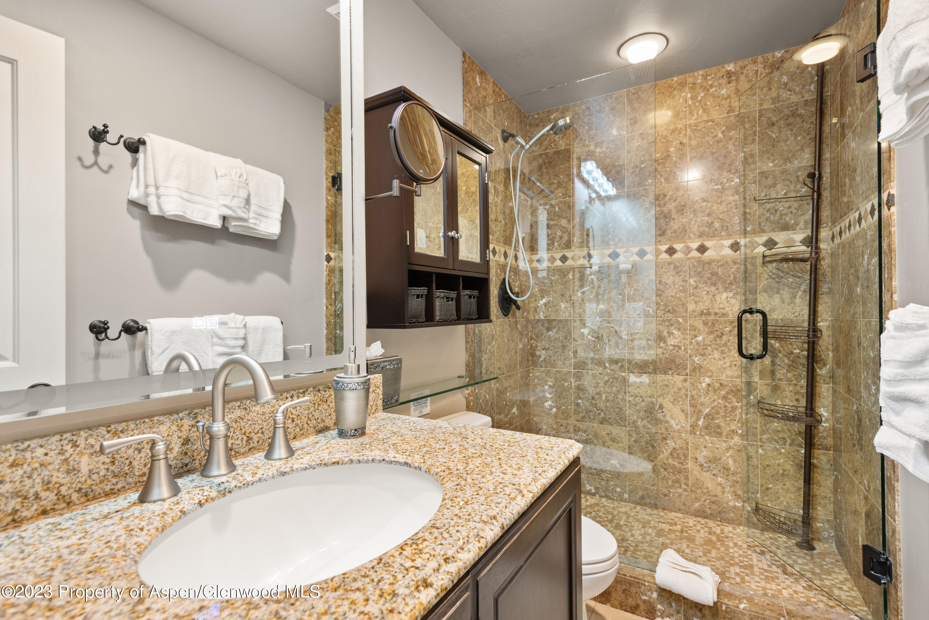 711 S Galena Street Aspen CO 81611