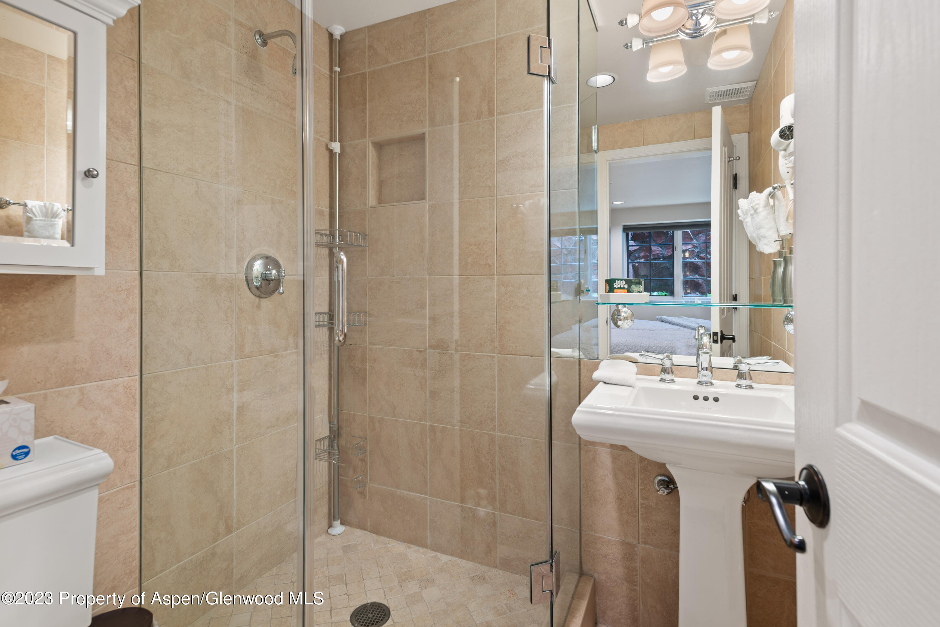 711 S Galena Street Aspen CO 81611