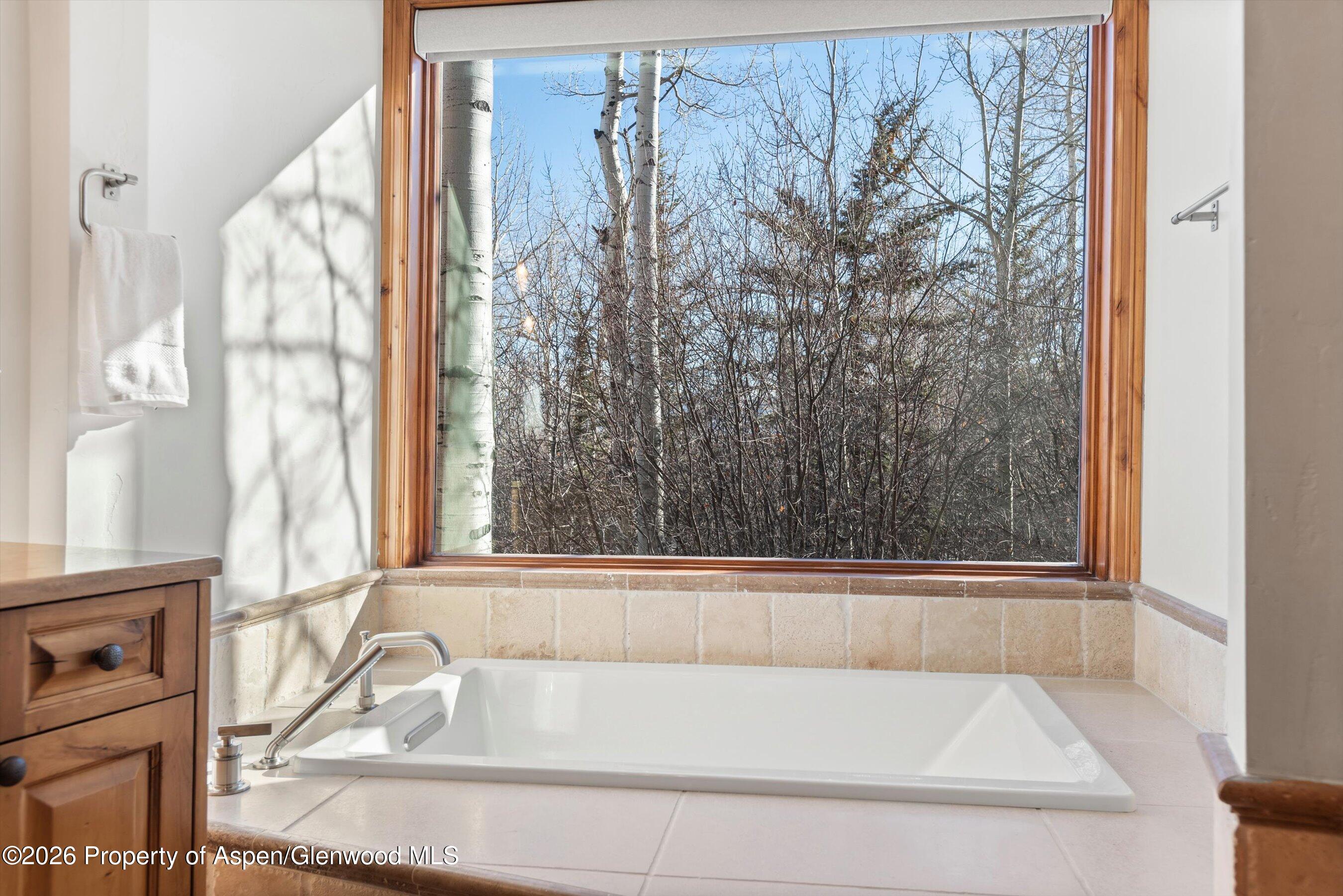 364 Ridge Road Snowmass Village CO 81615