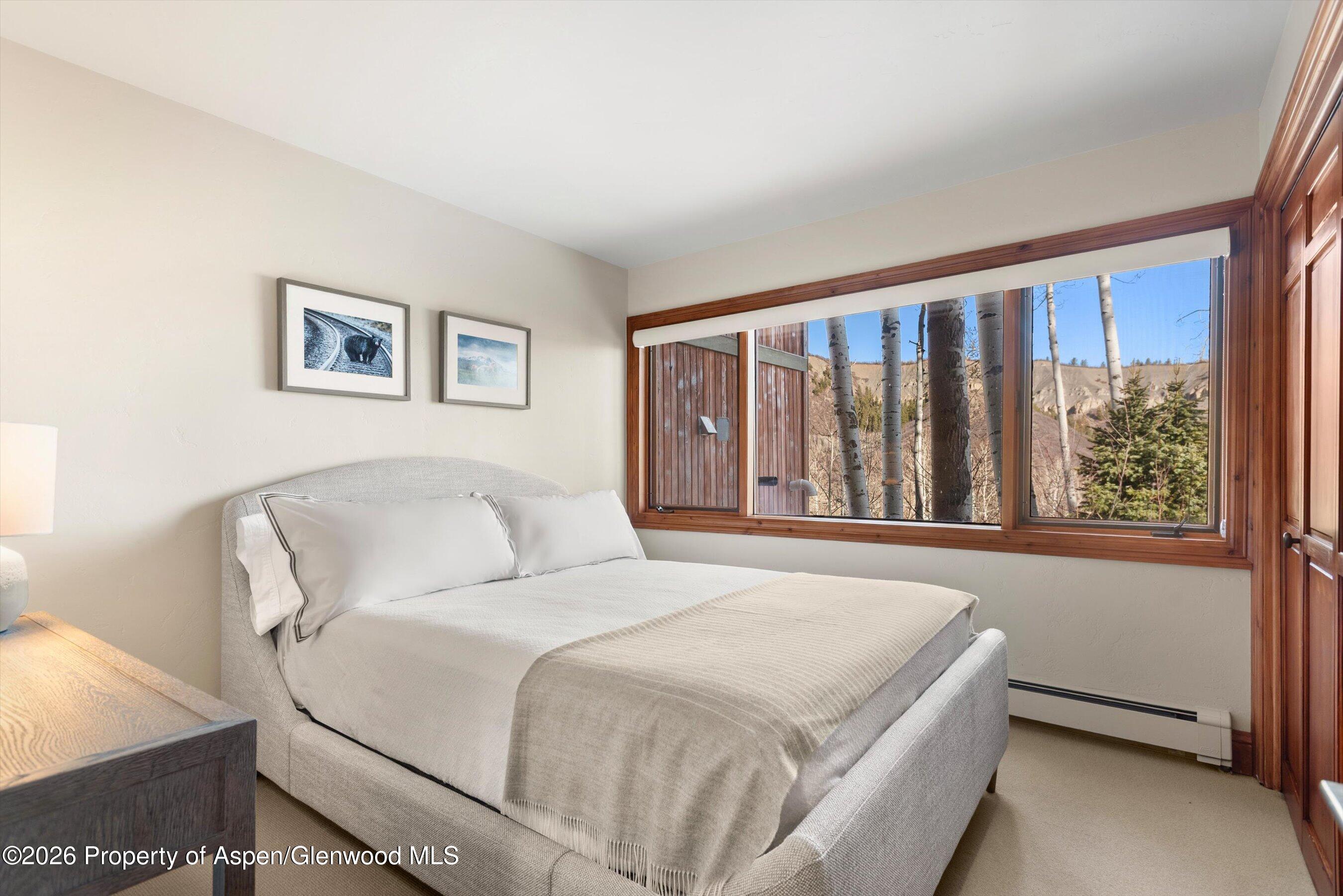 364 Ridge Road Snowmass Village CO 81615