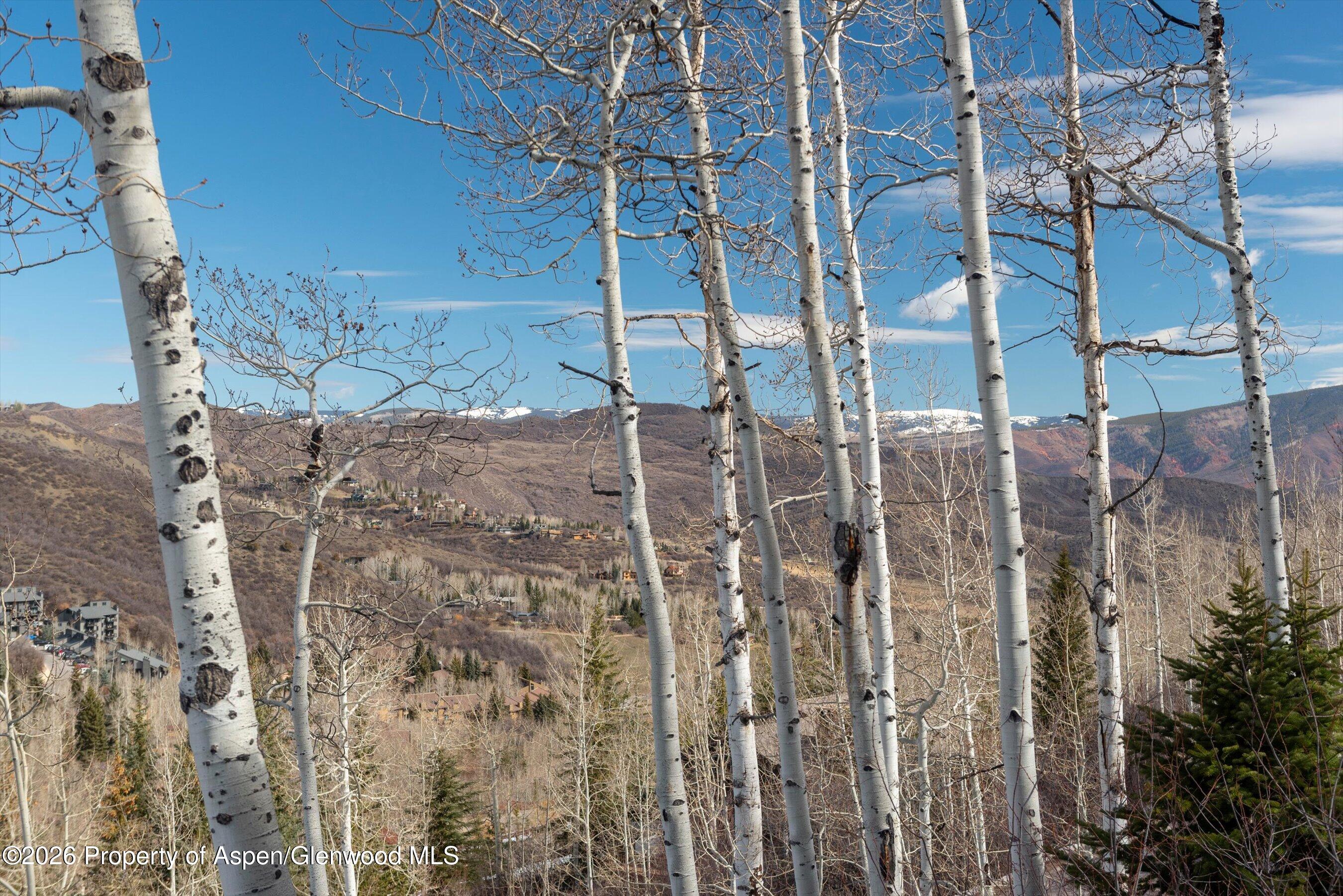 364 Ridge Road Snowmass Village CO 81615