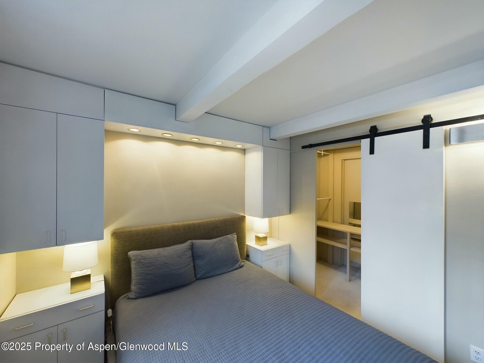 601 S S West End Street Aspen CO 81611