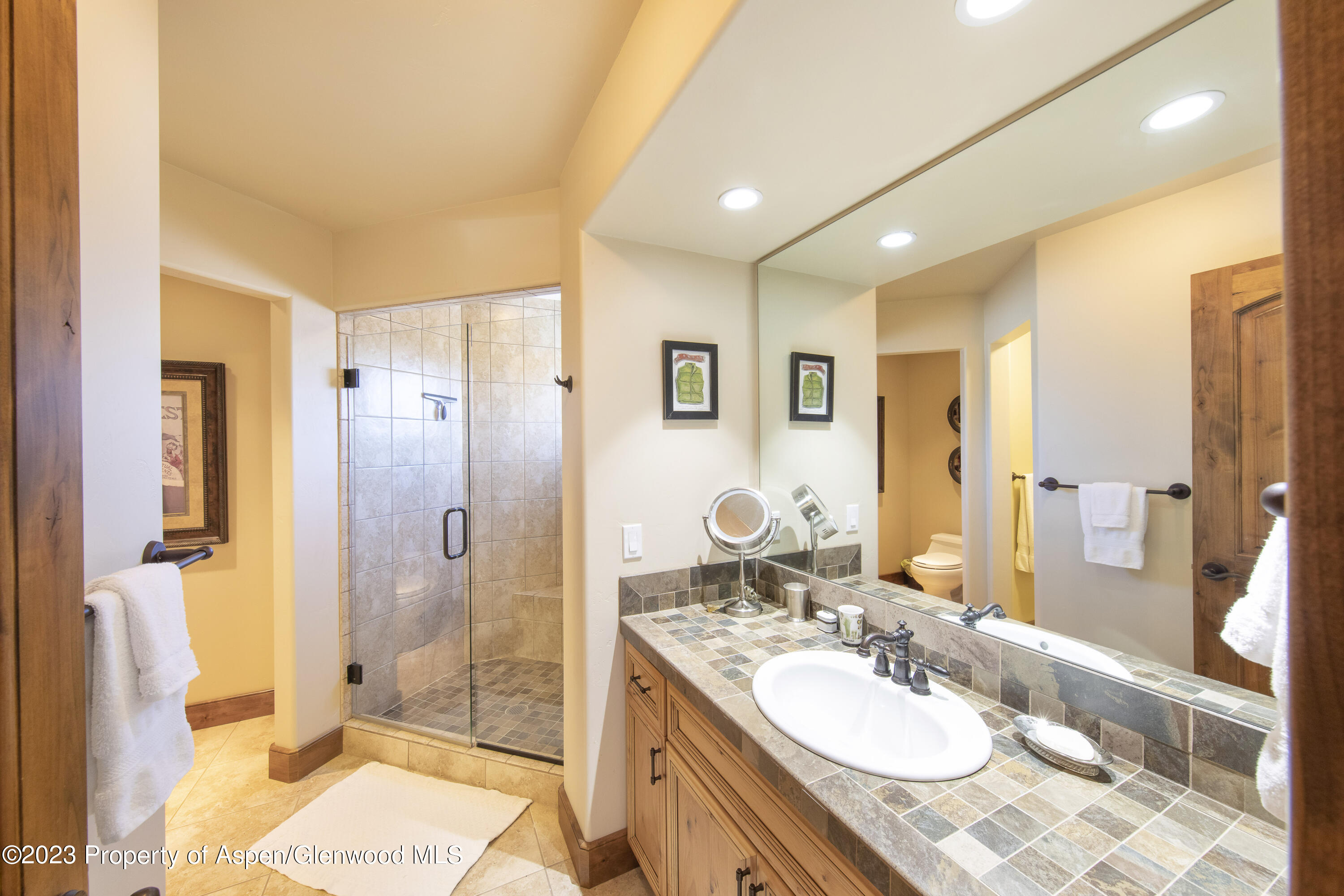 627 N Bridge Drive Carbondale CO 81623