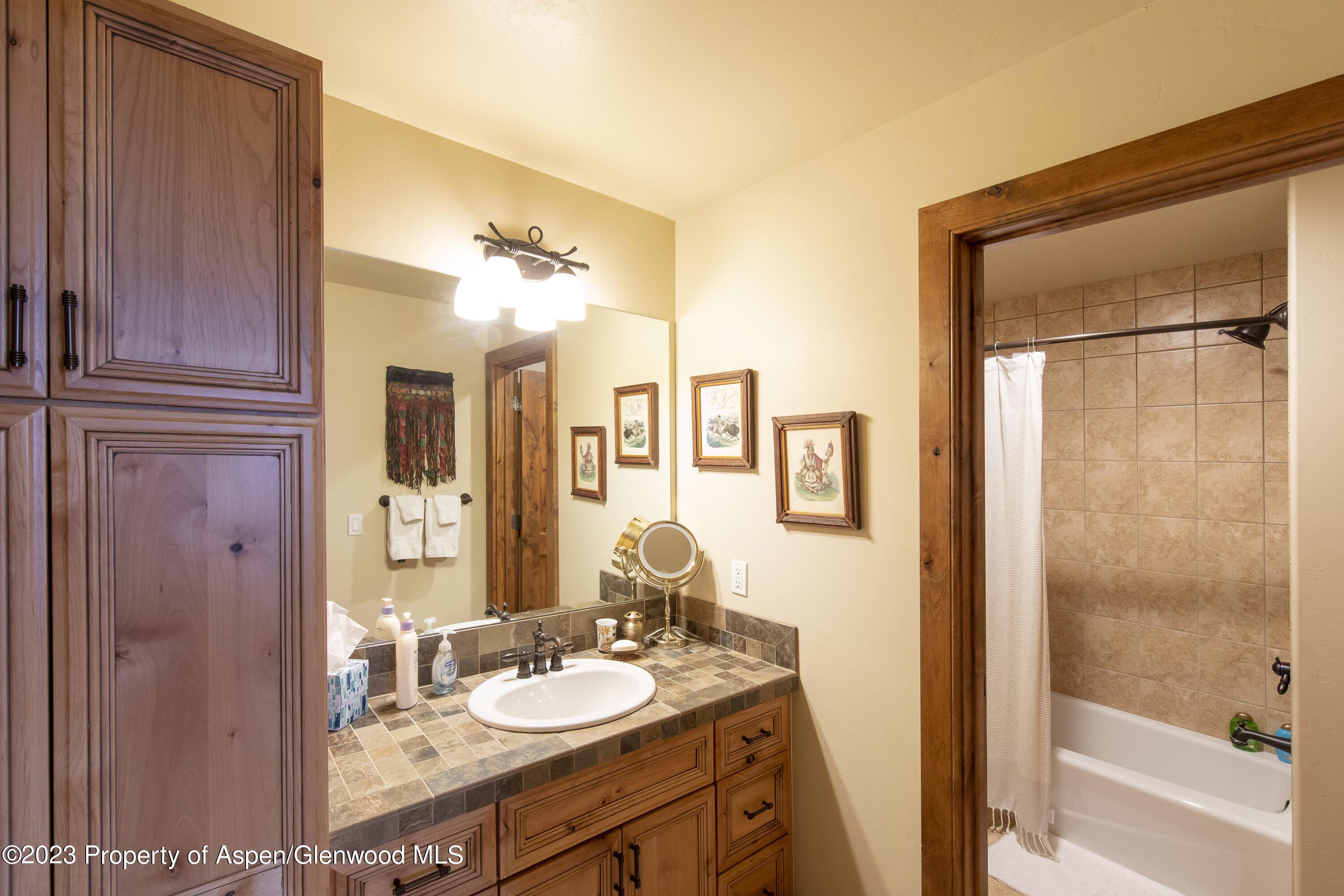 627 N Bridge Drive Carbondale CO 81623