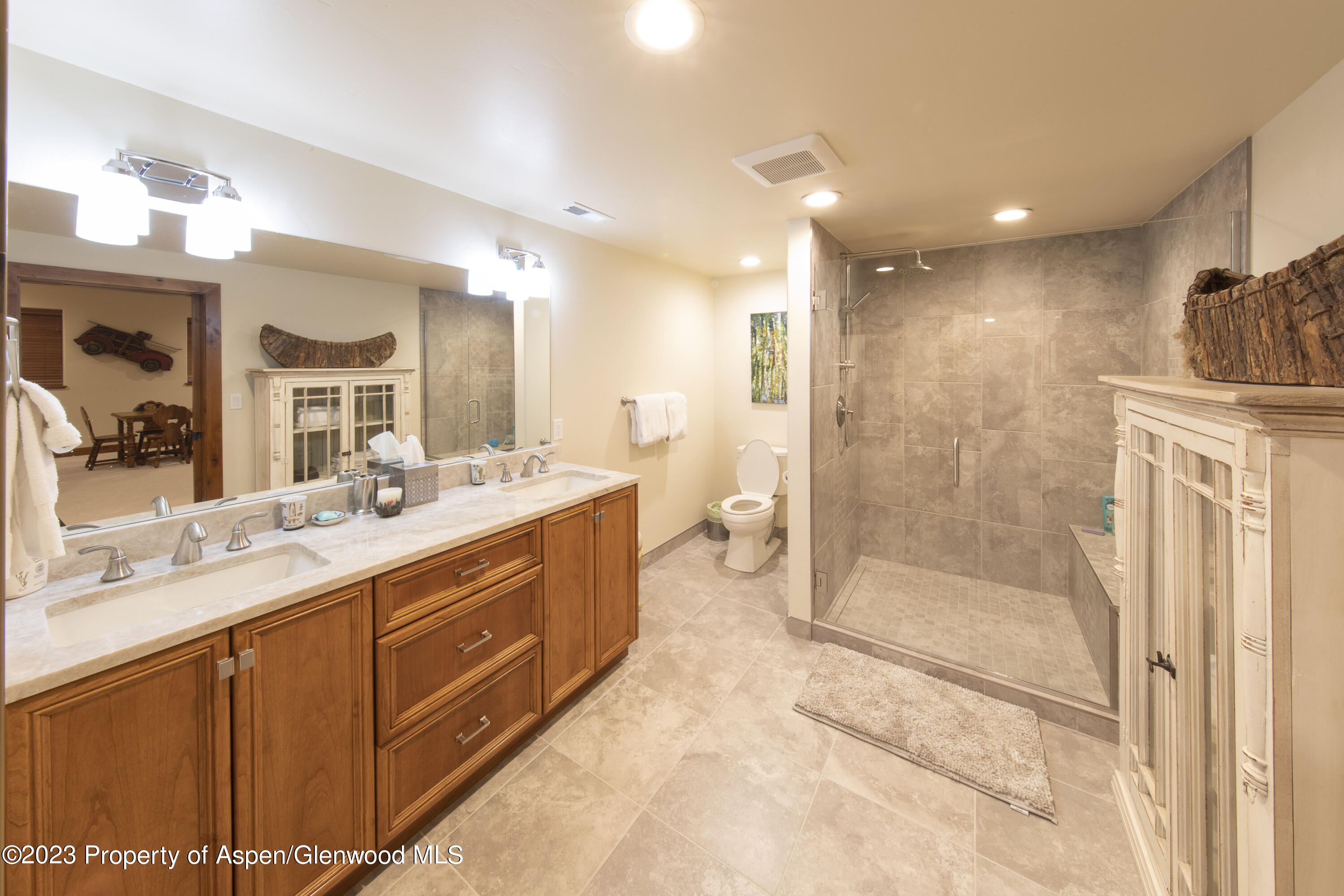 627 N Bridge Drive Carbondale CO 81623