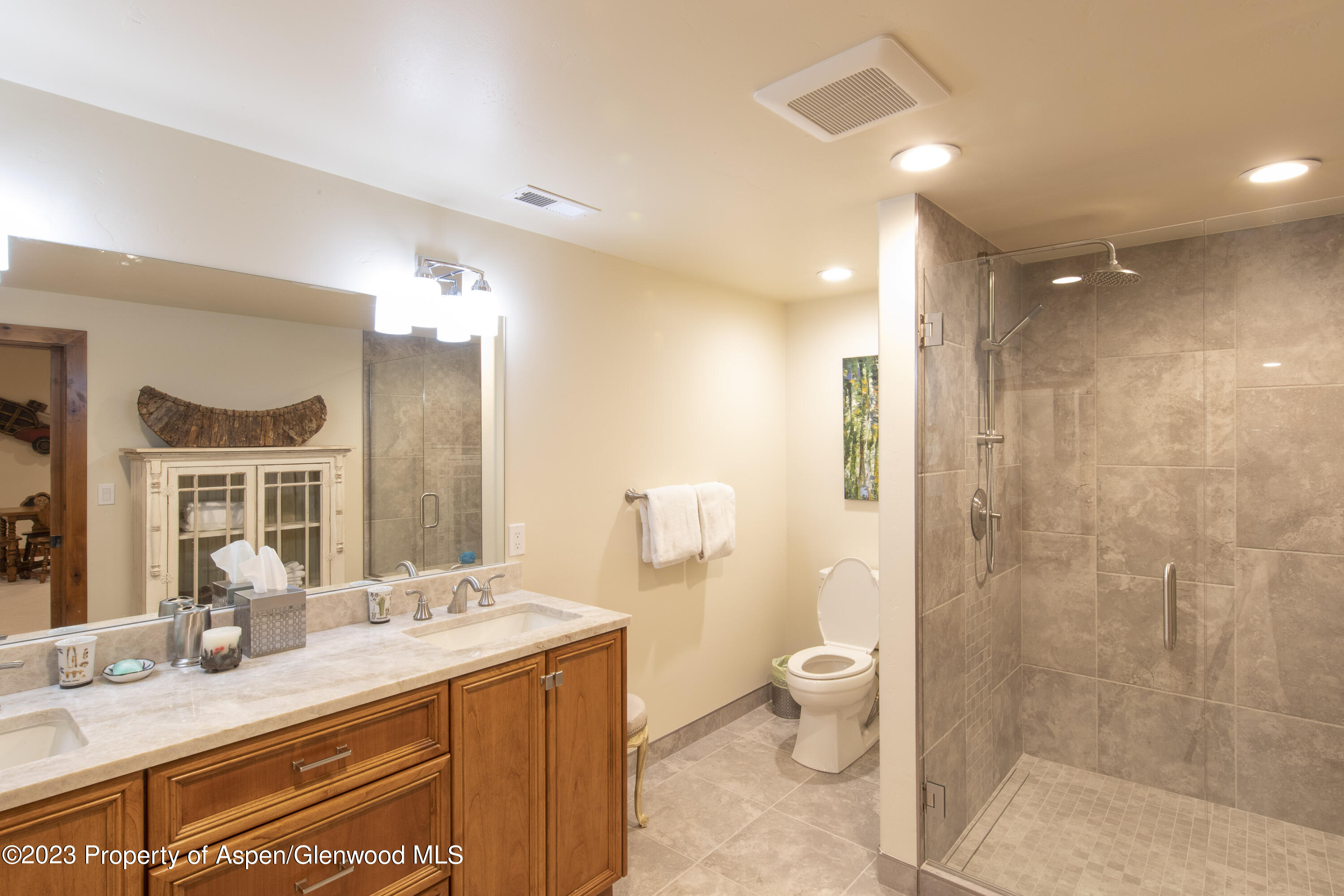 627 N Bridge Drive Carbondale CO 81623