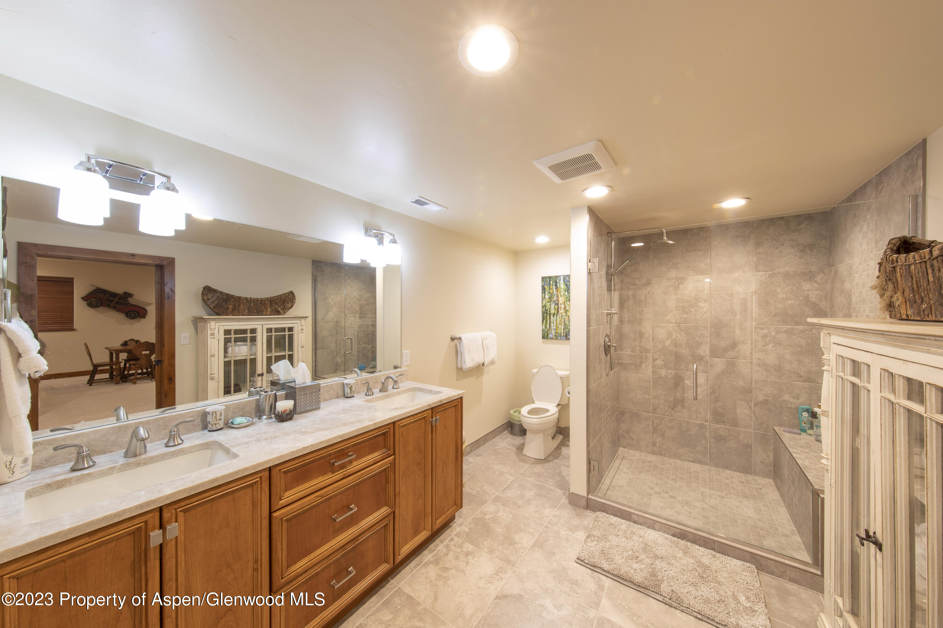 627 N Bridge Drive Carbondale CO 81623