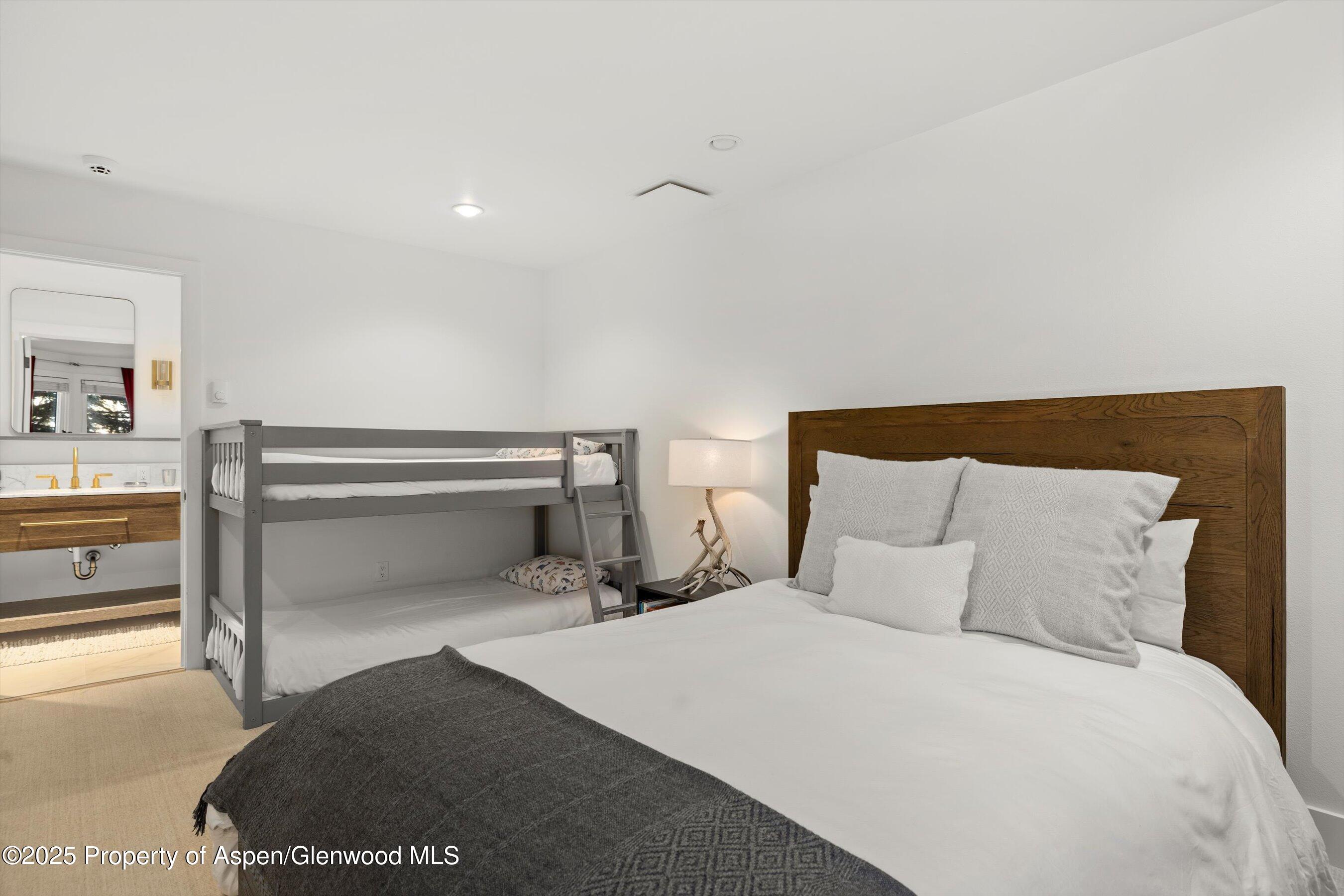 117 W Hyman Aspen CO 81611