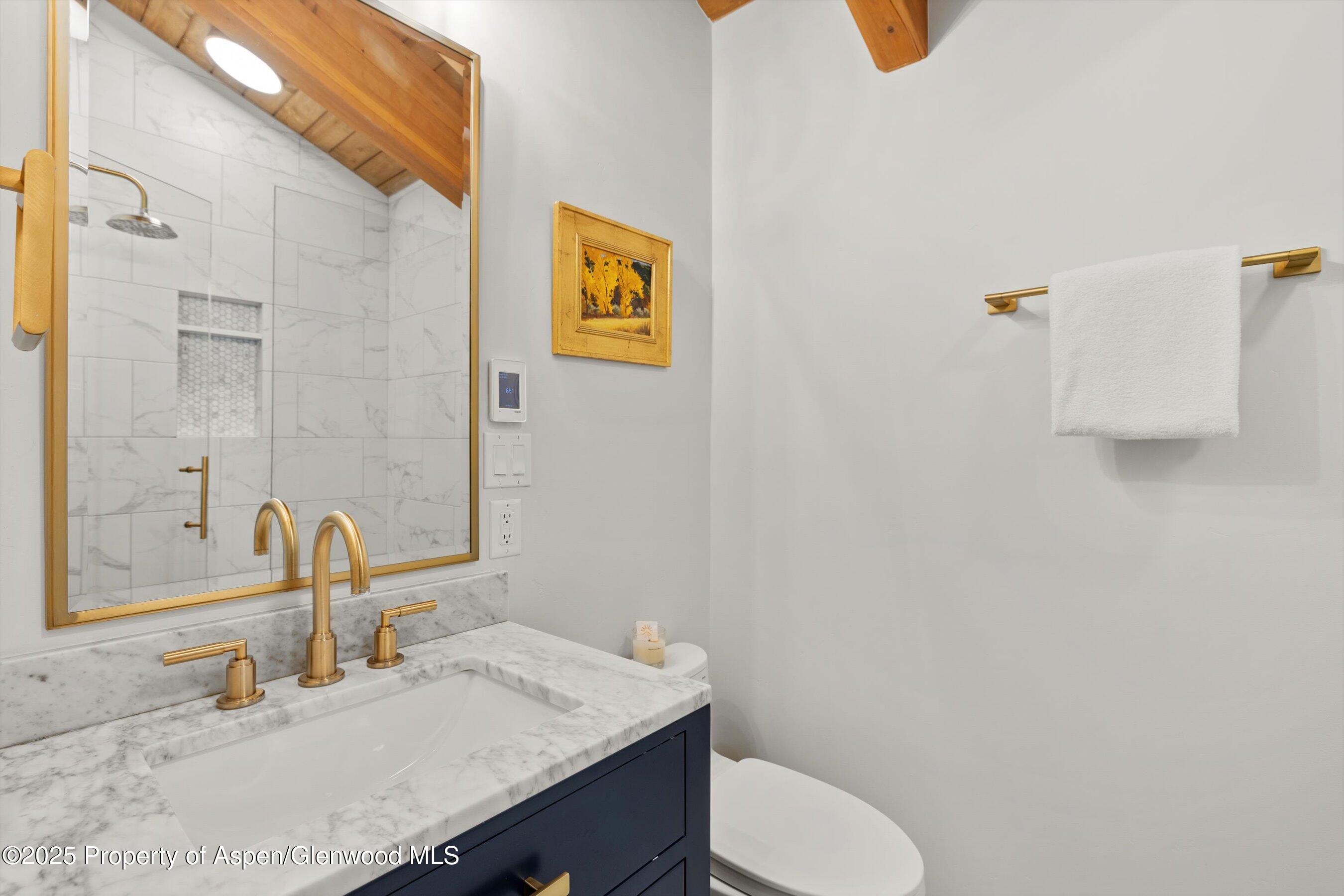 117 W Hyman Aspen CO 81611