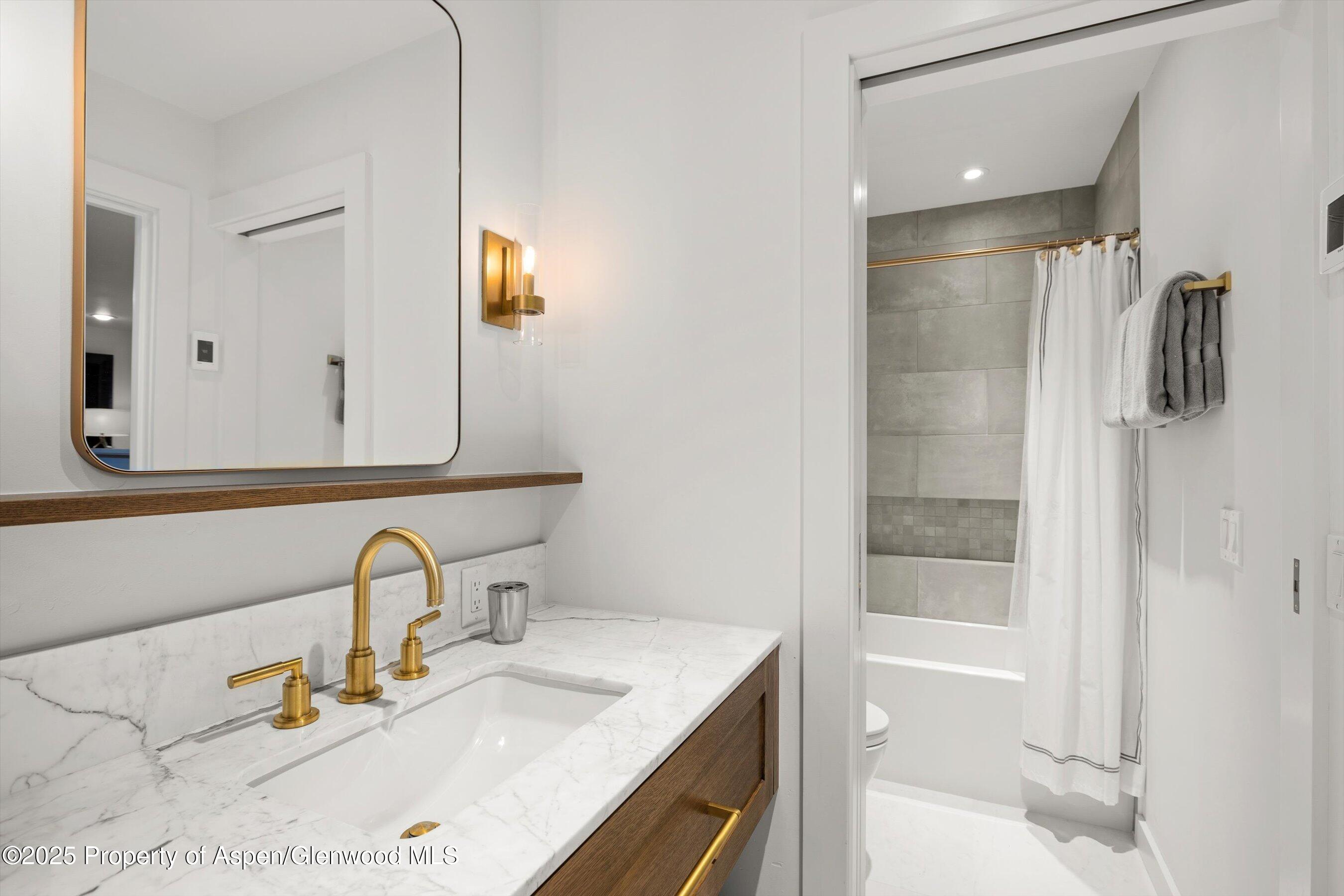 117 W Hyman Aspen CO 81611