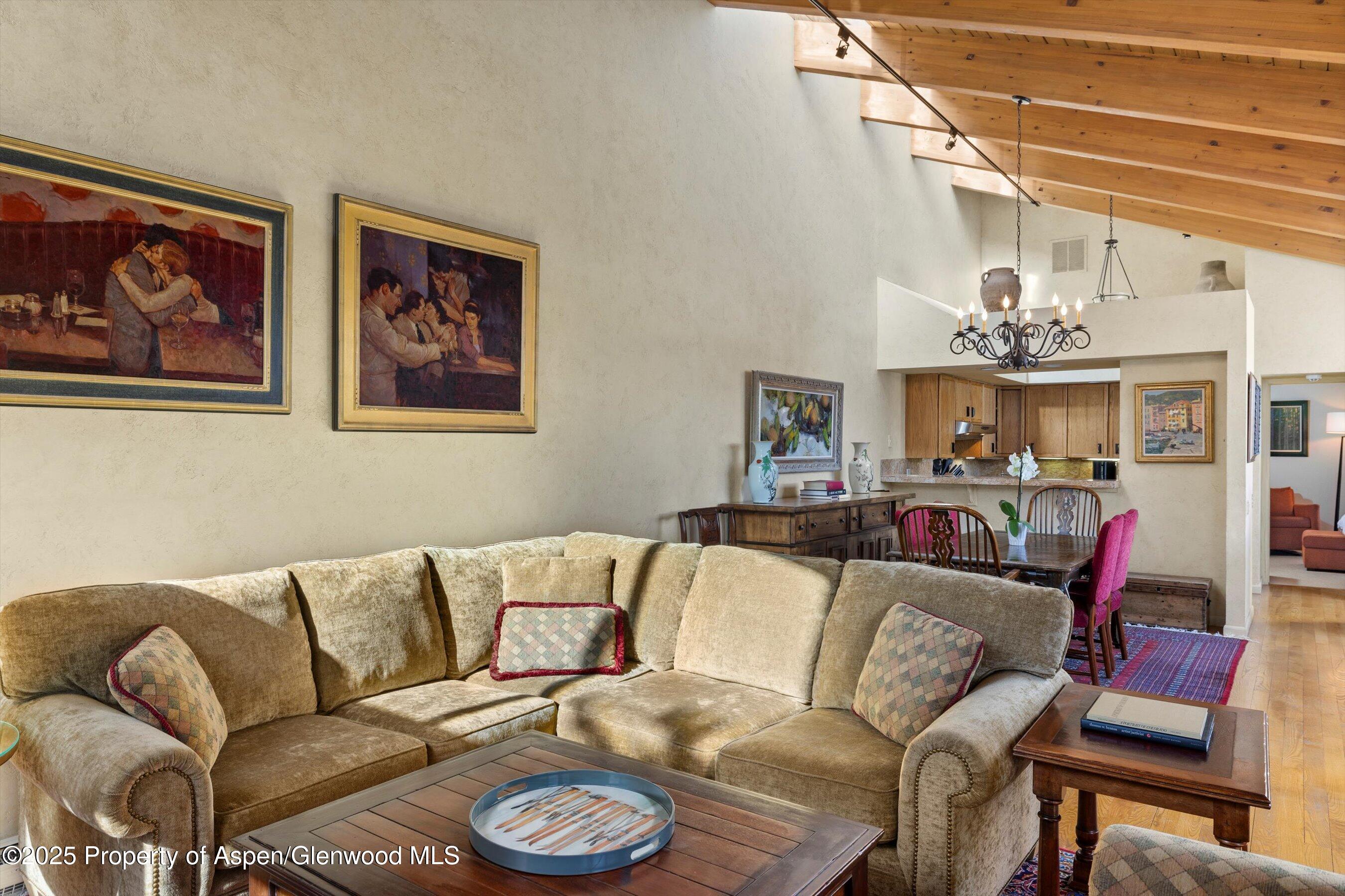 117 W Hyman Aspen CO 81611