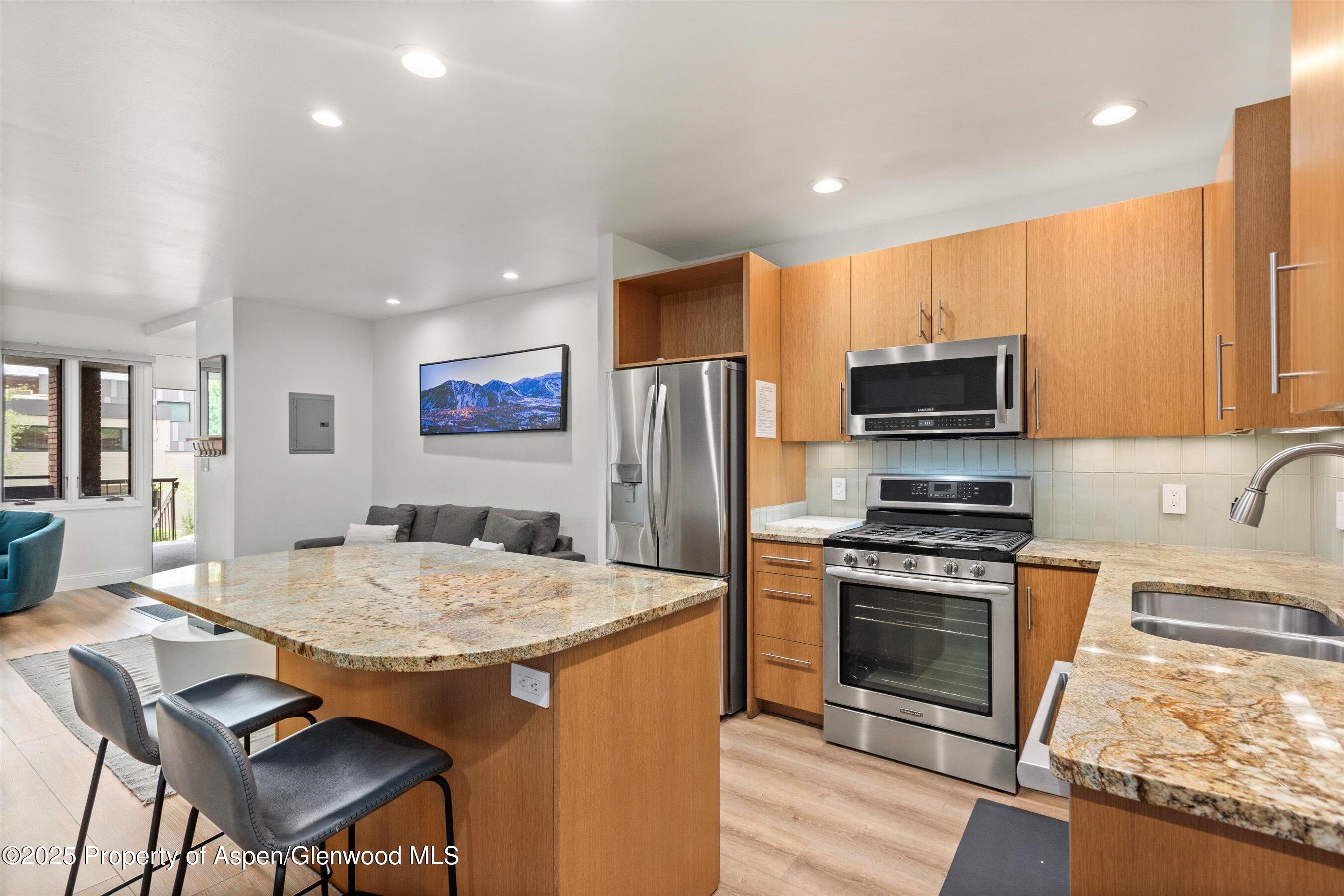 450 S Original Street Aspen CO 81611