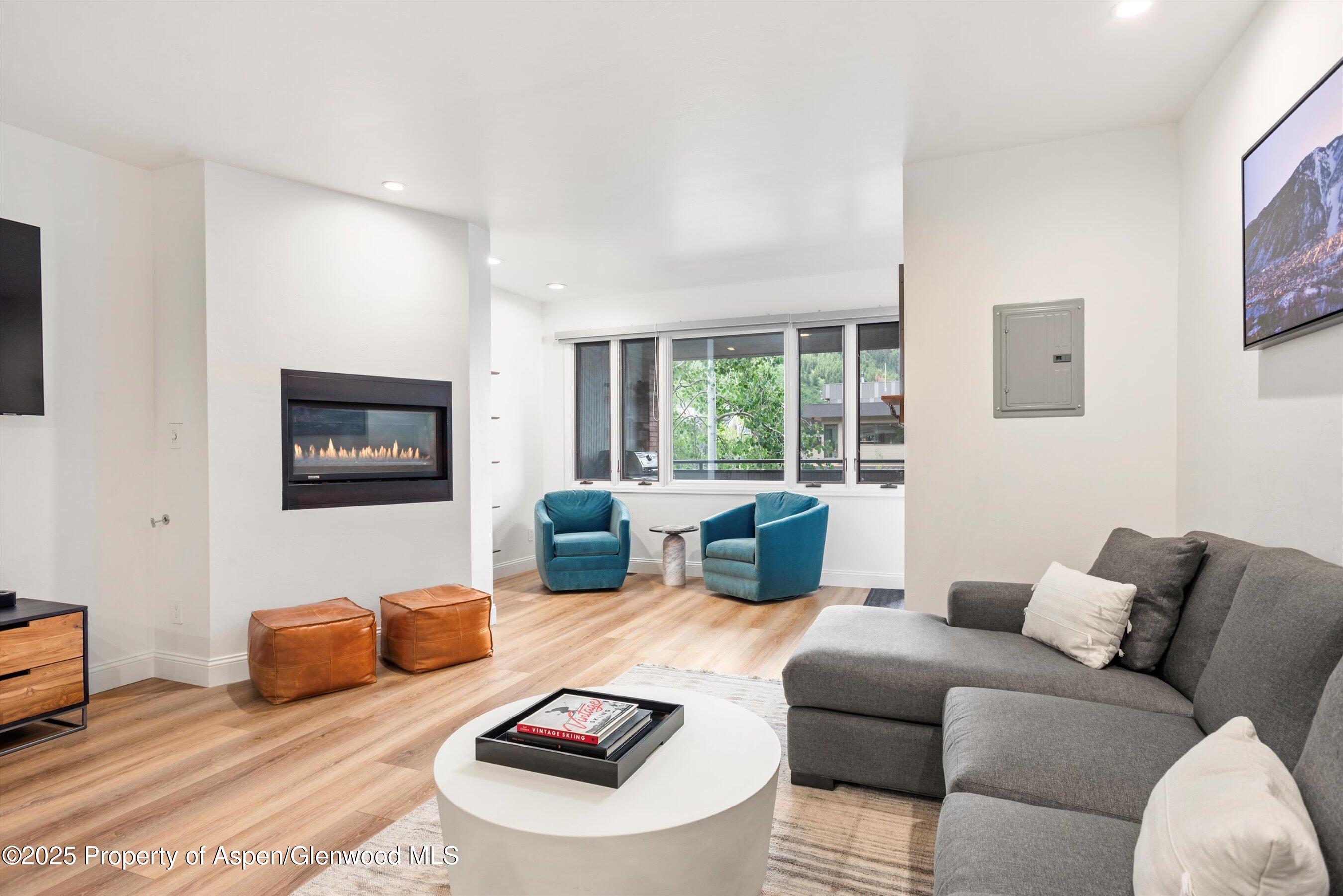 450 S Original Street Aspen CO 81611