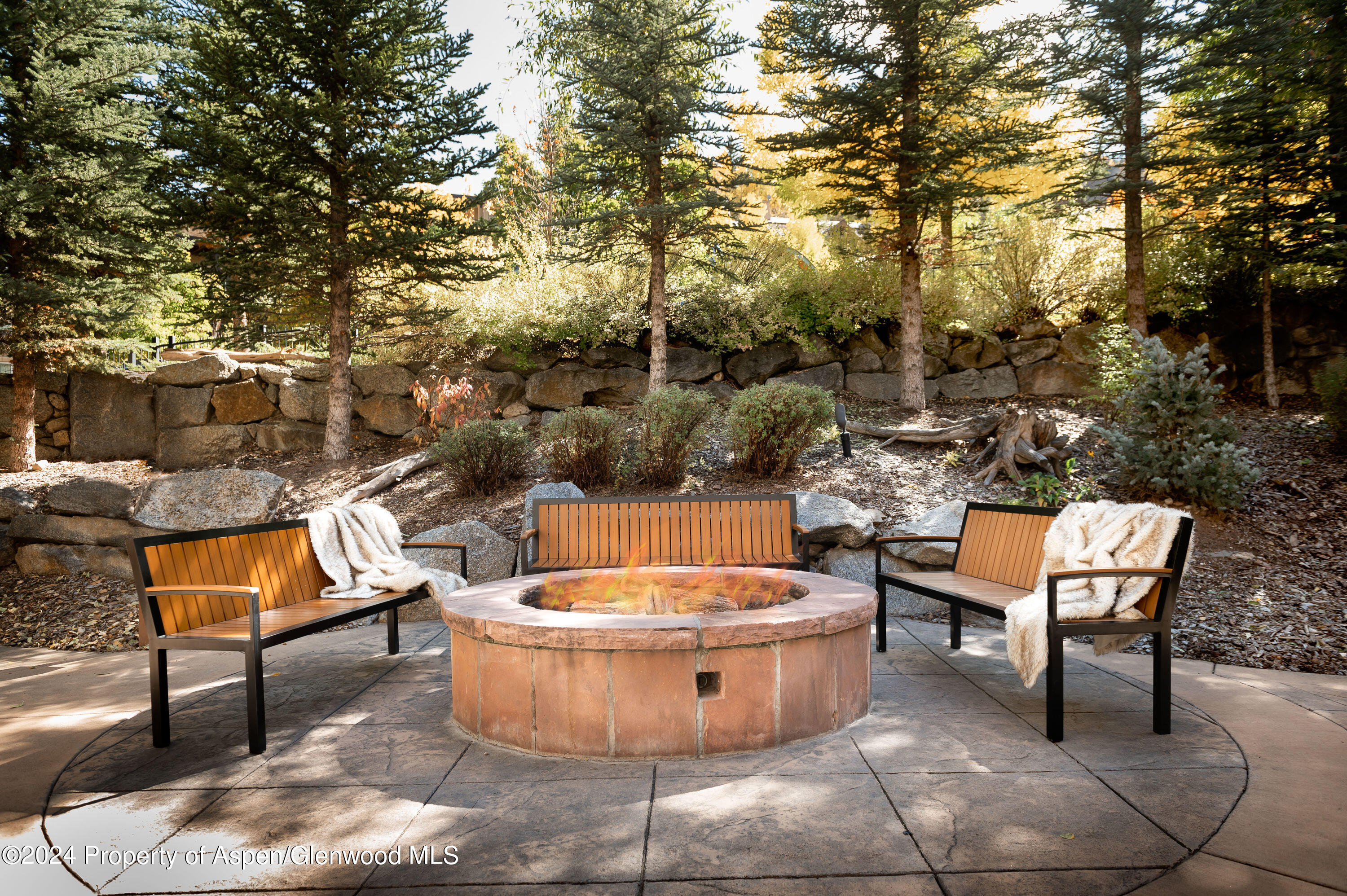 400 E Dean Street Aspen CO 81611