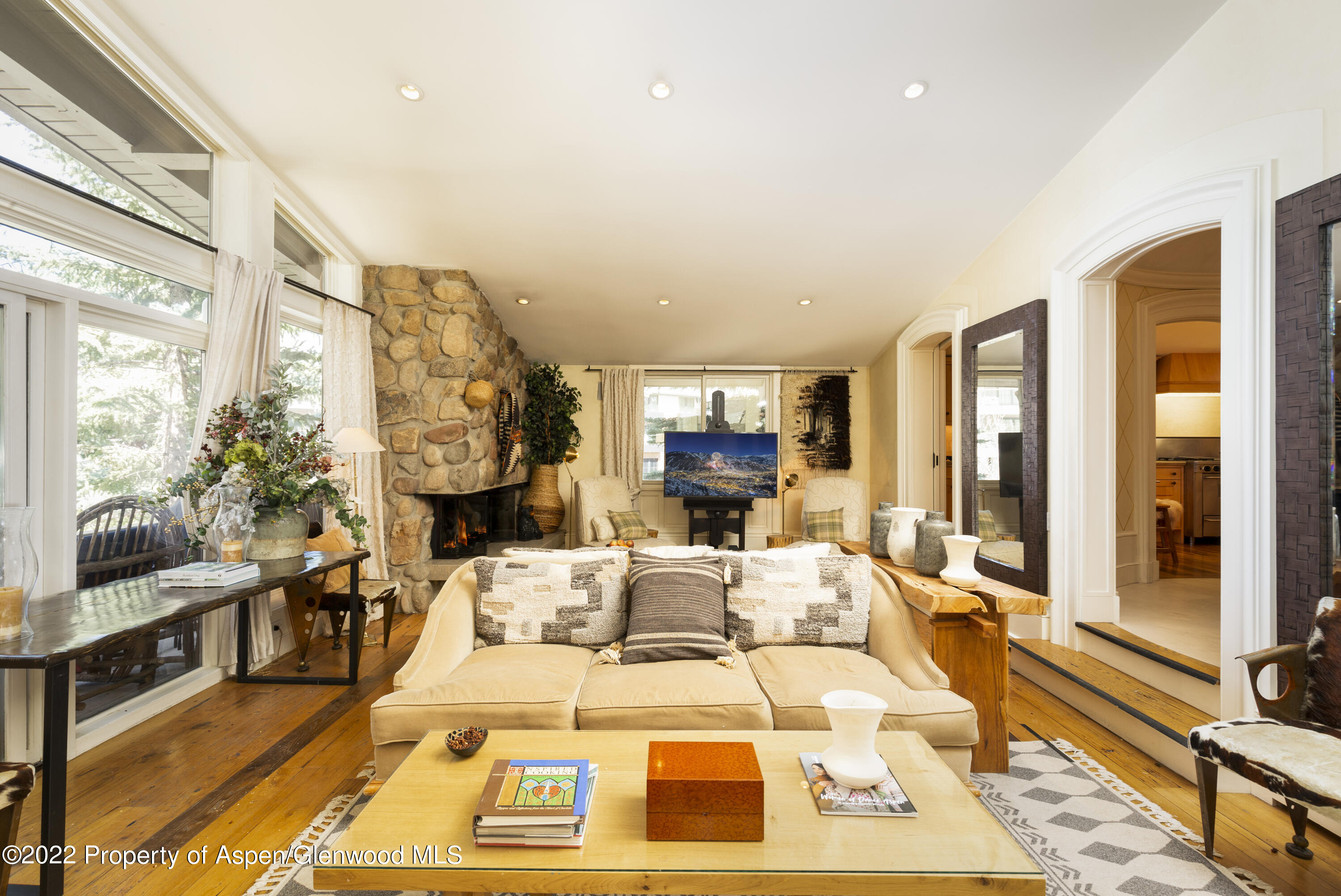 700 S Ute Avenue Aspen CO 81611